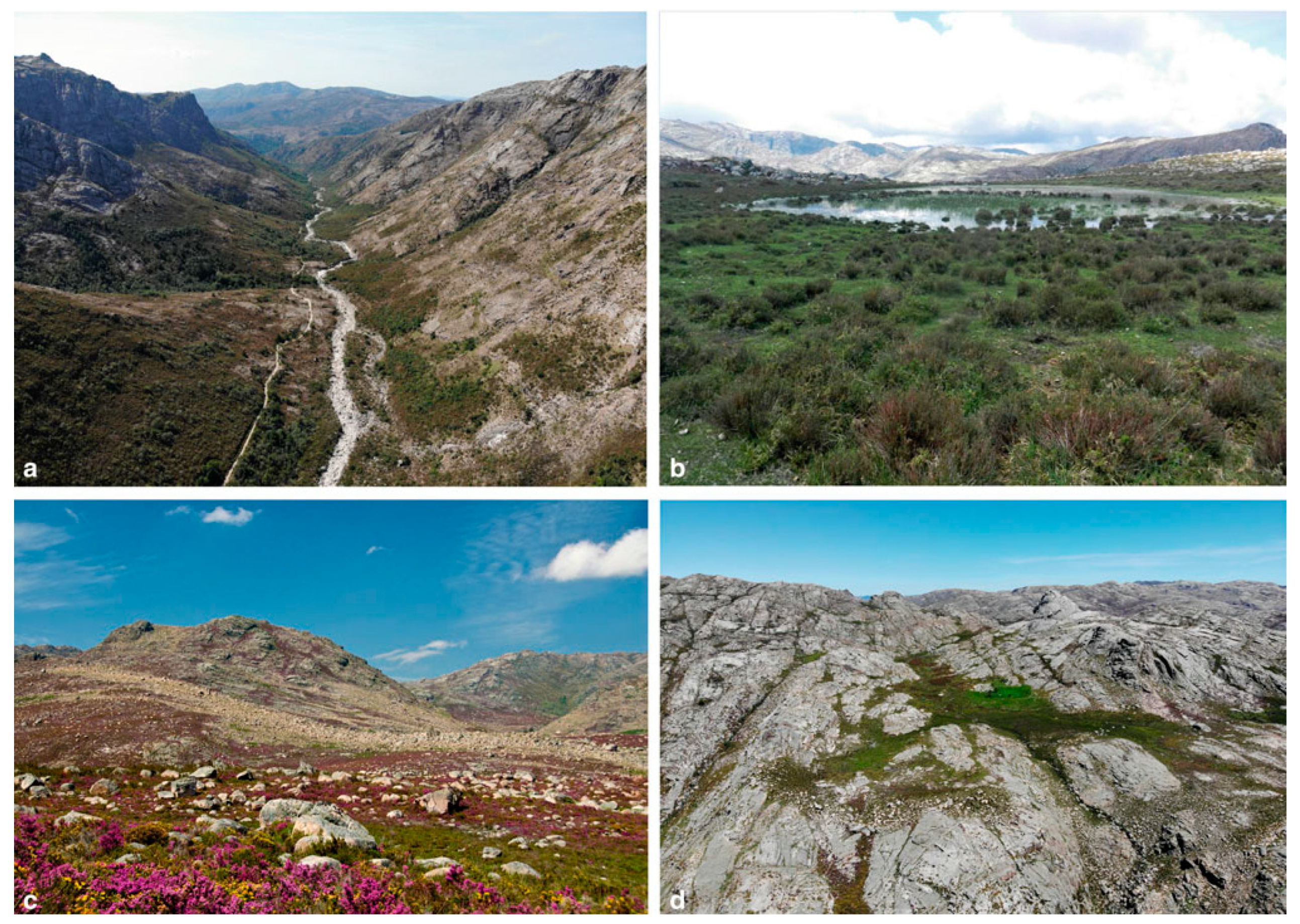 Heritage 07 00183 g009 Heritage 07 00183 g009