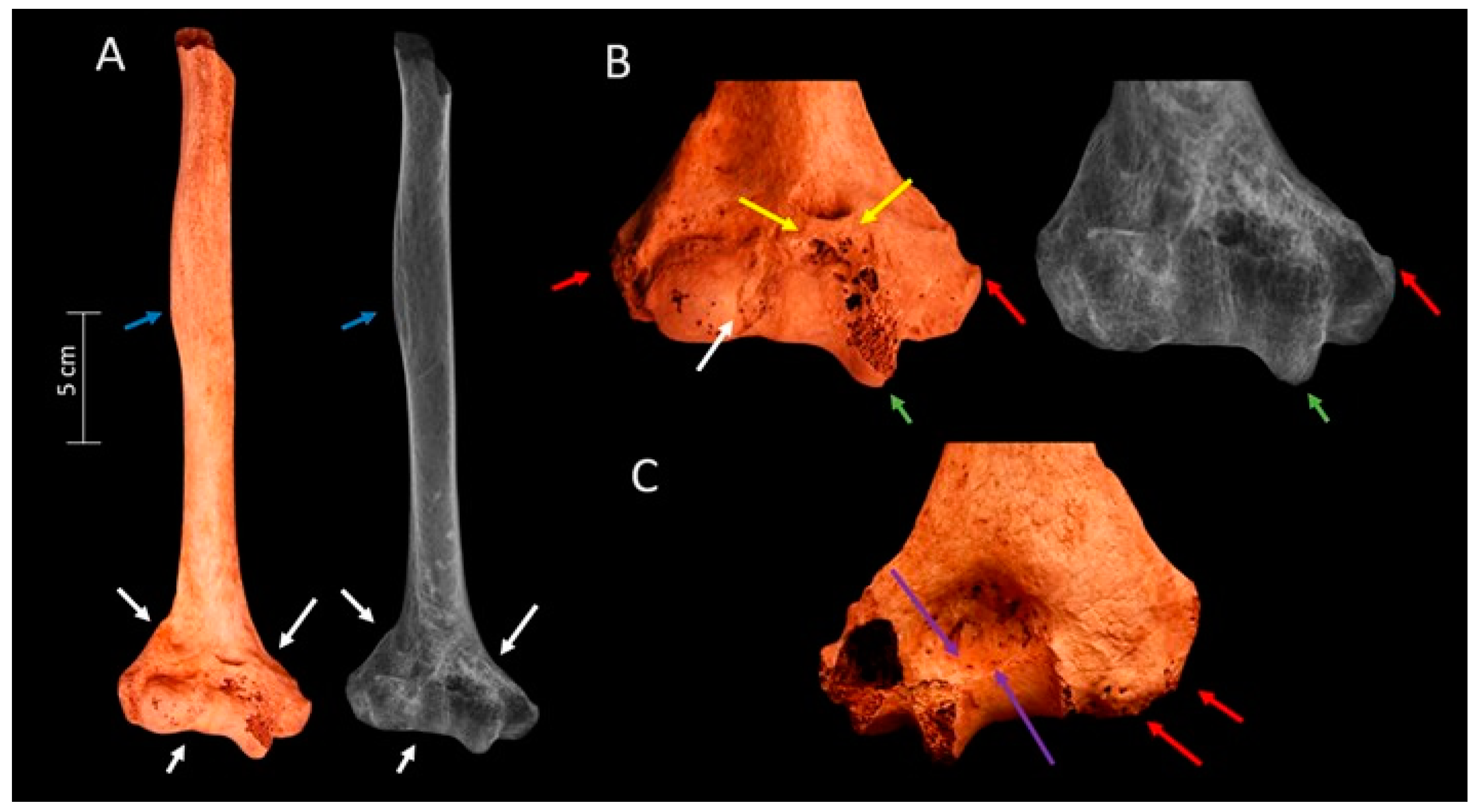 Heritage 07 00196 g003