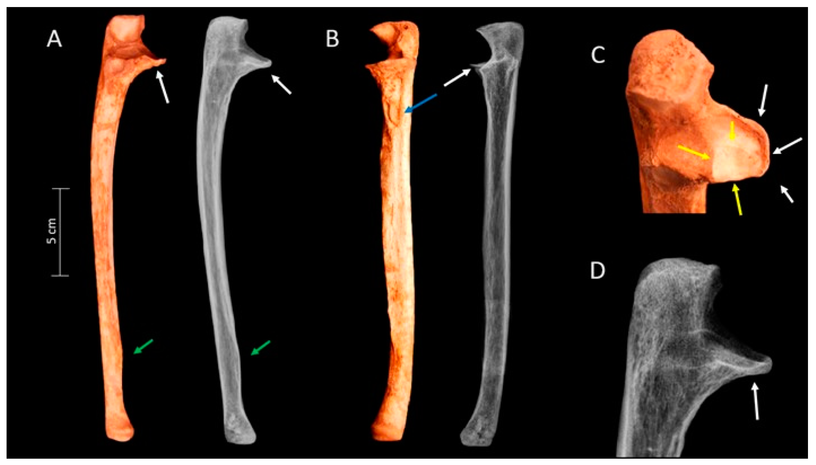 Heritage 07 00196 g004