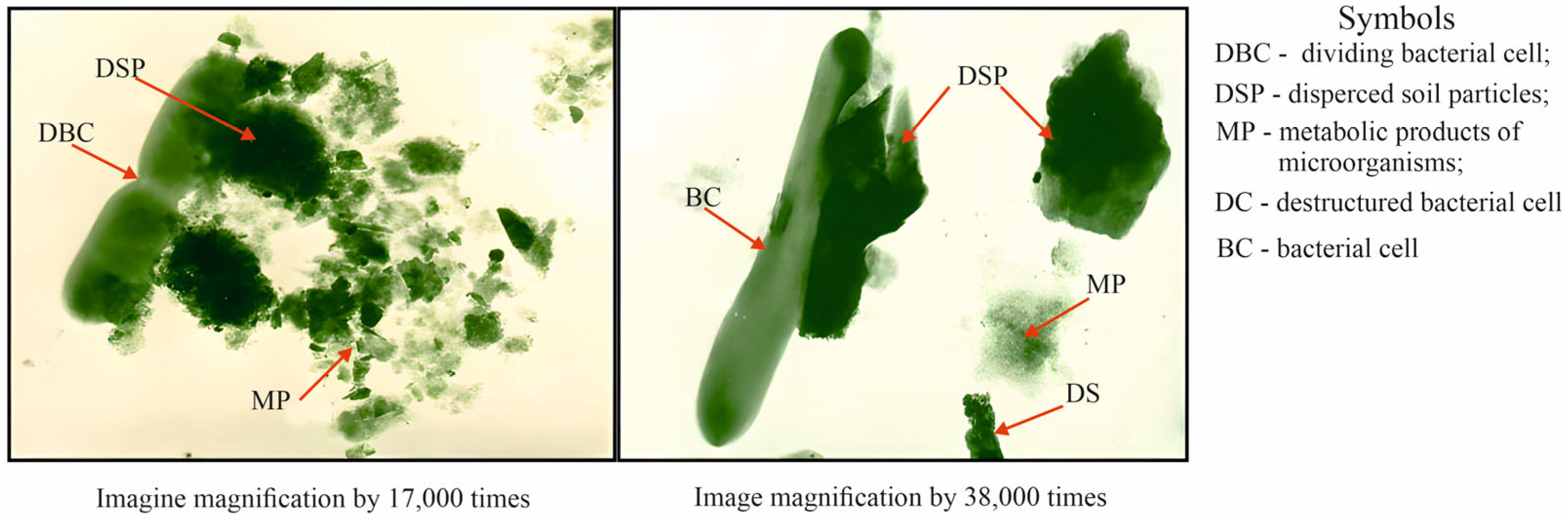 Heritage 07 00210 g009