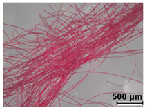 Heritage 08 00028 i013