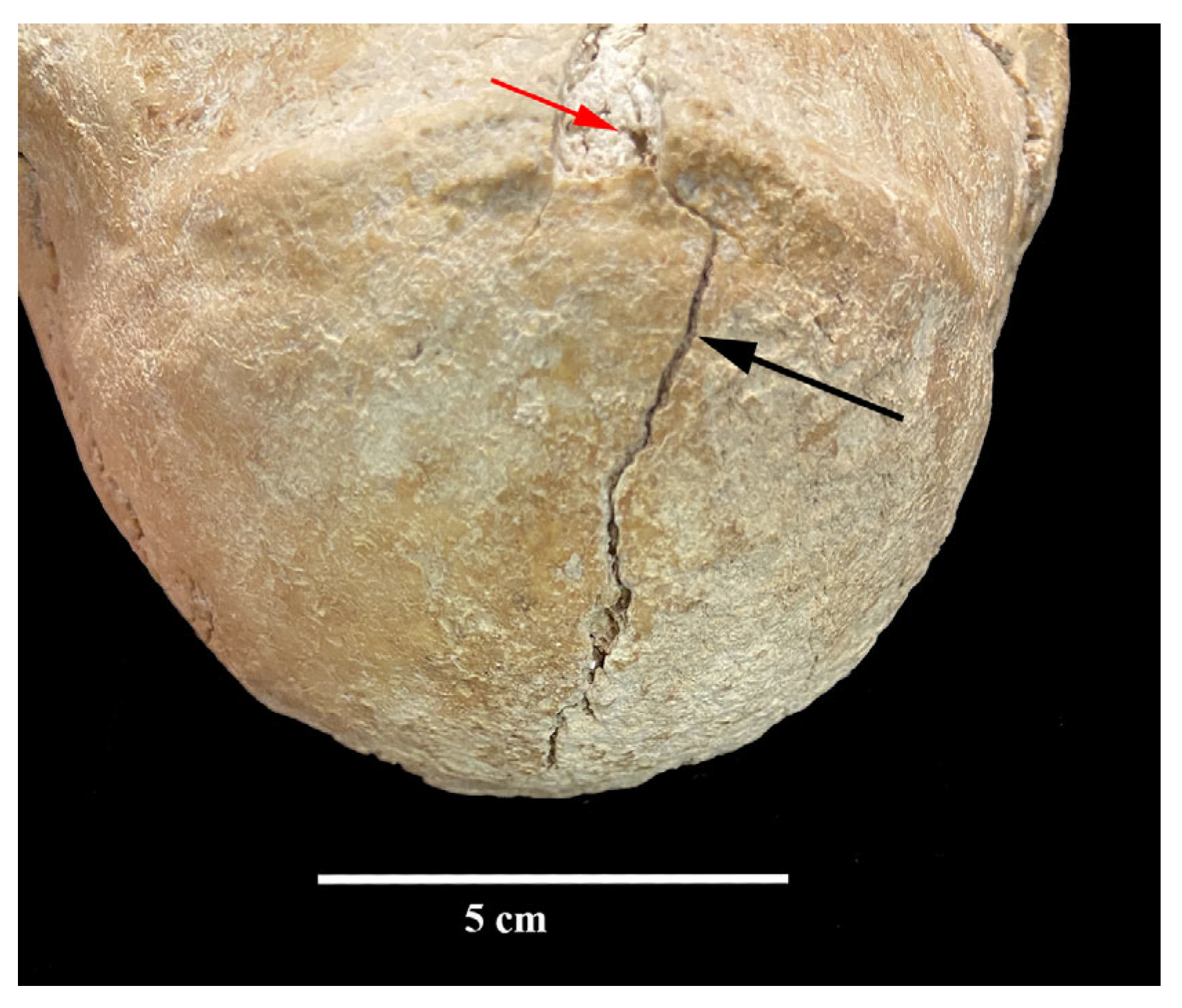 Heritage 08 00414 g011 Heritage 08 00414 g011