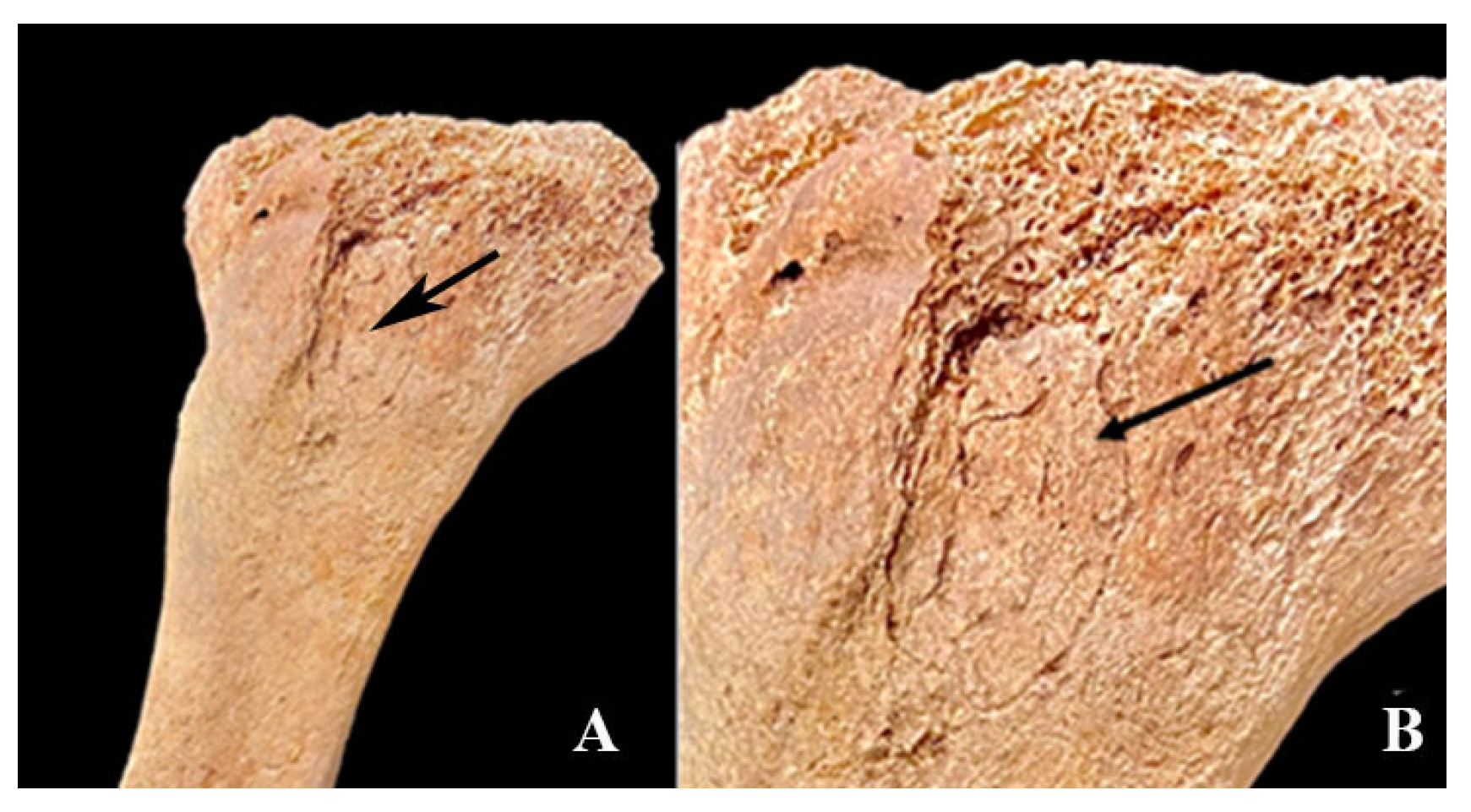 Heritage 08 00414 g012 Heritage 08 00414 g012