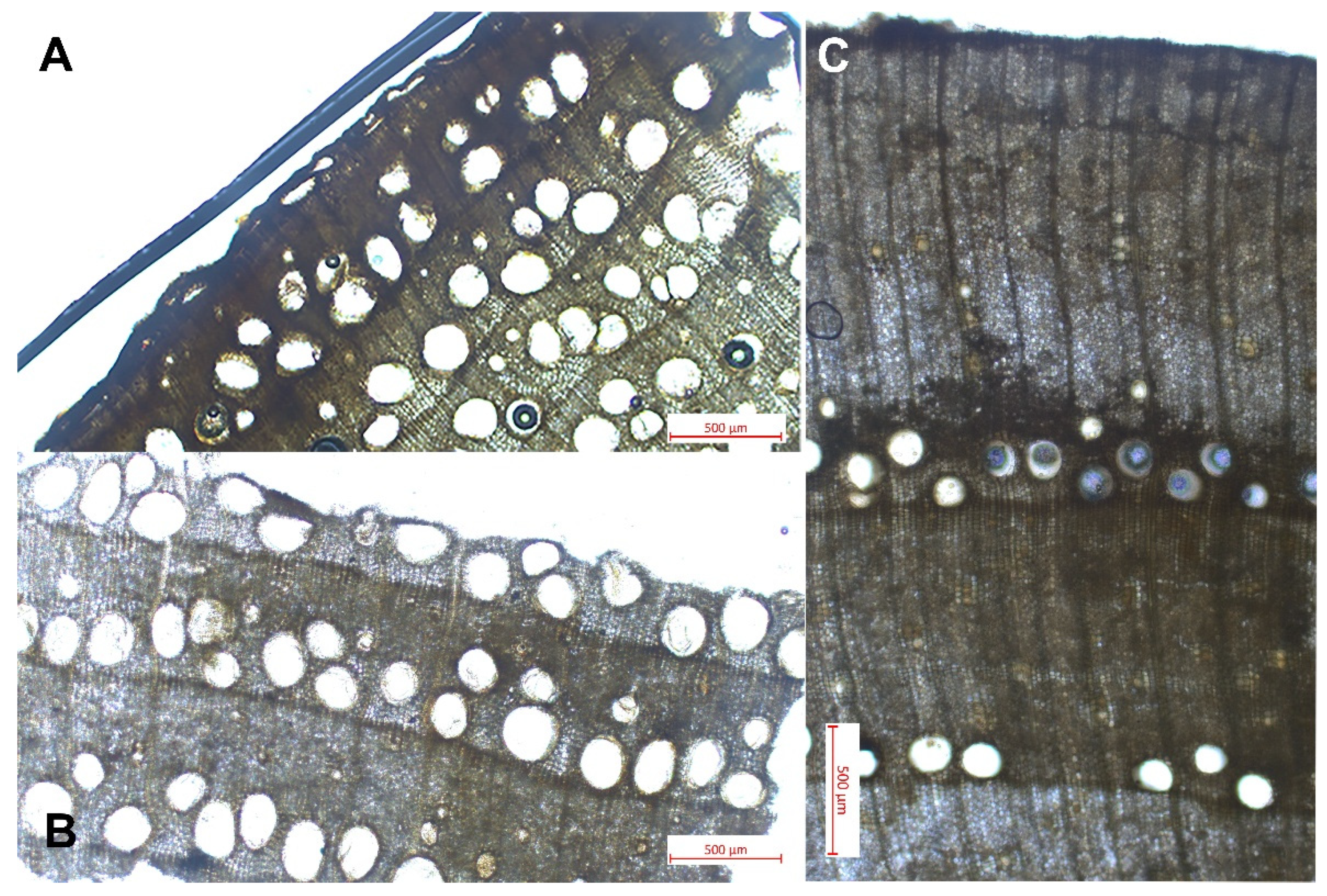 Heritage 08 00442 g009 Heritage 08 00442 g009