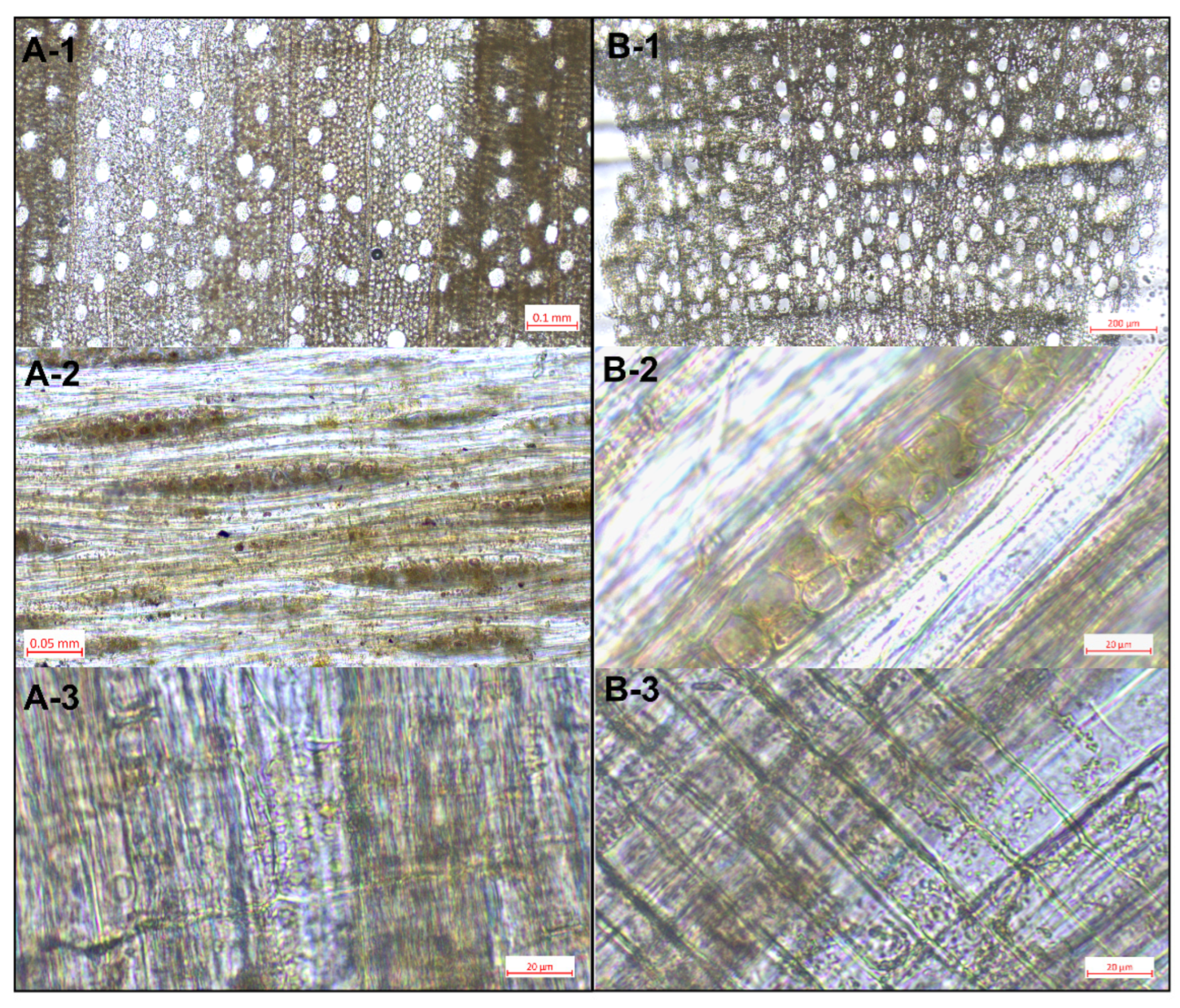 Heritage 08 00442 g010 Heritage 08 00442 g010