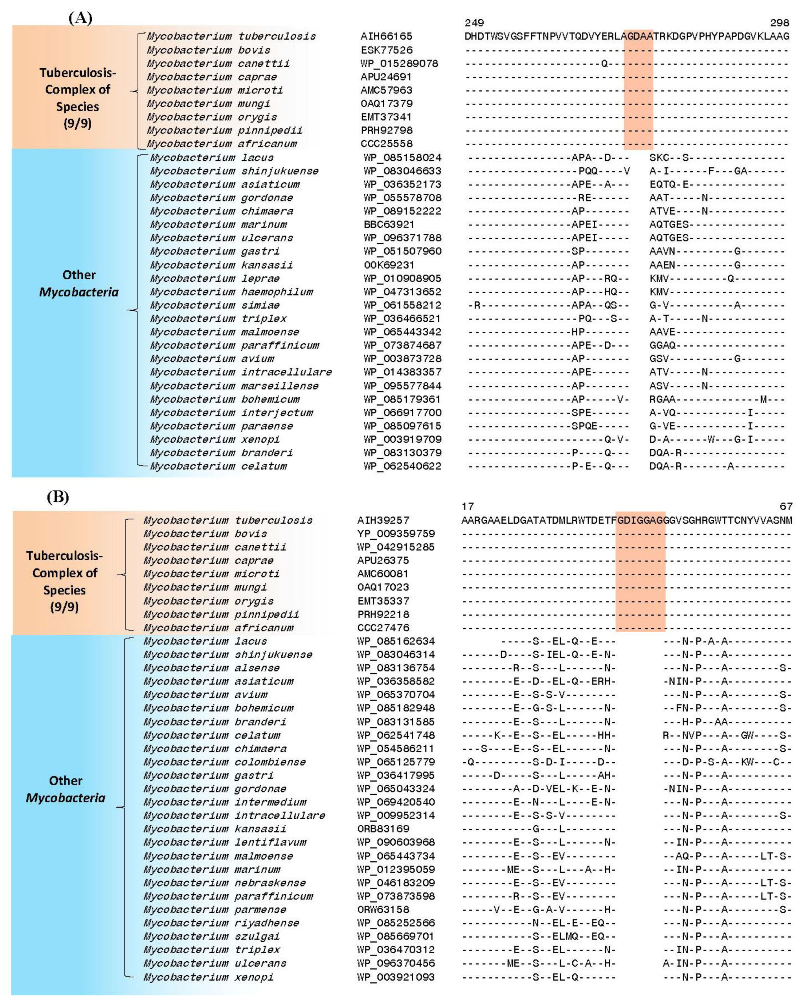 High-Throughput | Free Full-Text | Impact of Genomics on Clarifying the  Evolutionary Relationships amongst Mycobacteria: Identification of  Molecular Signatures Specific for the Tuberculosis-Complex of Bacteria with  Potential Applications for Novel ...