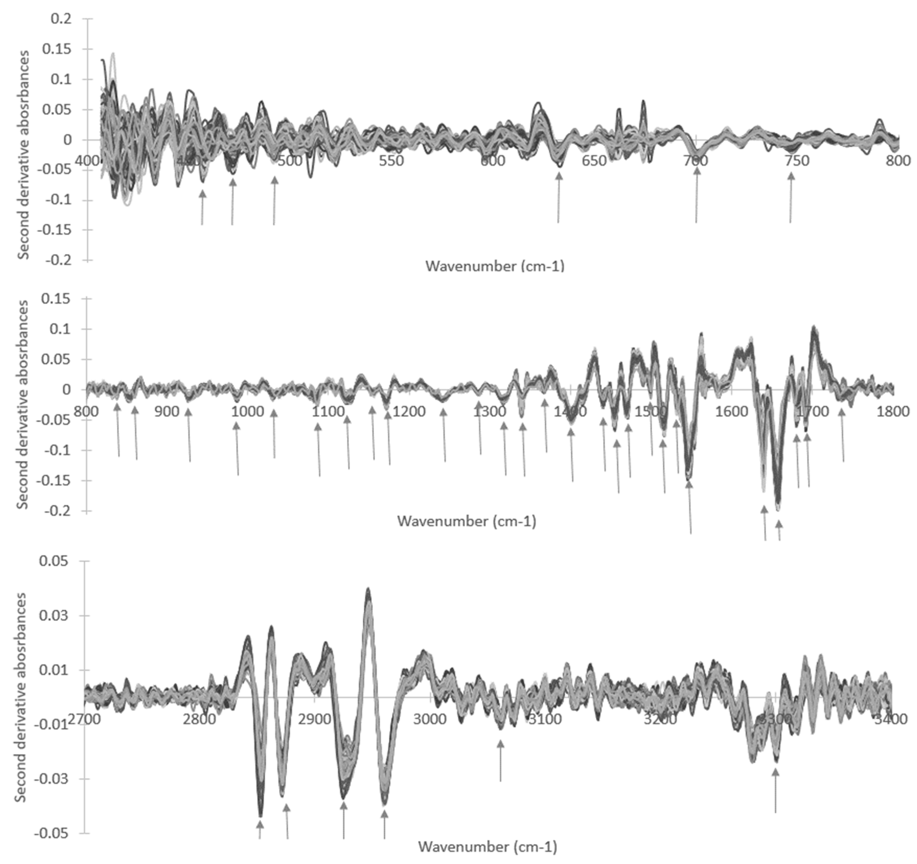 High throughput 09 00009 g005