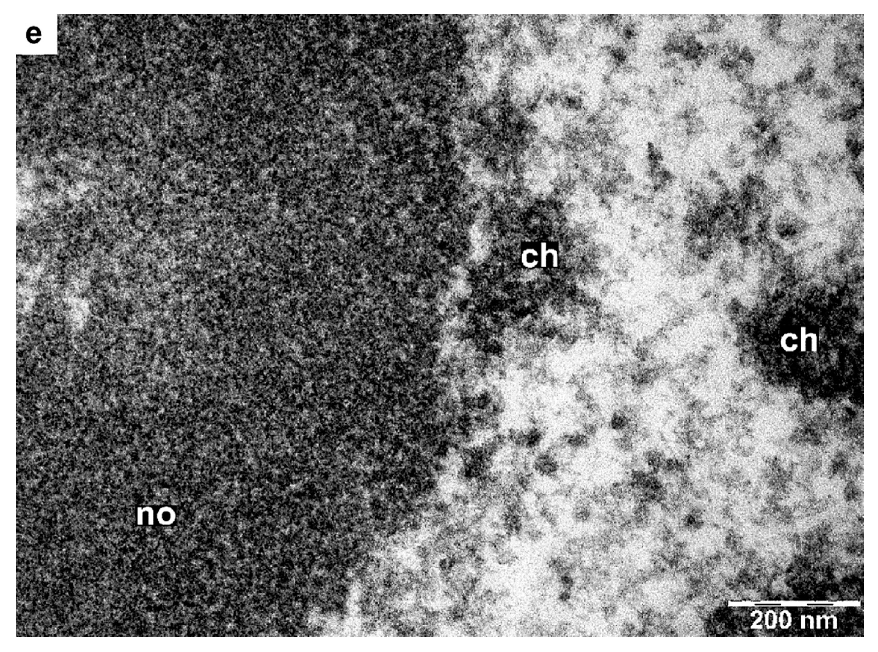 High throughput 09 00011 g006c