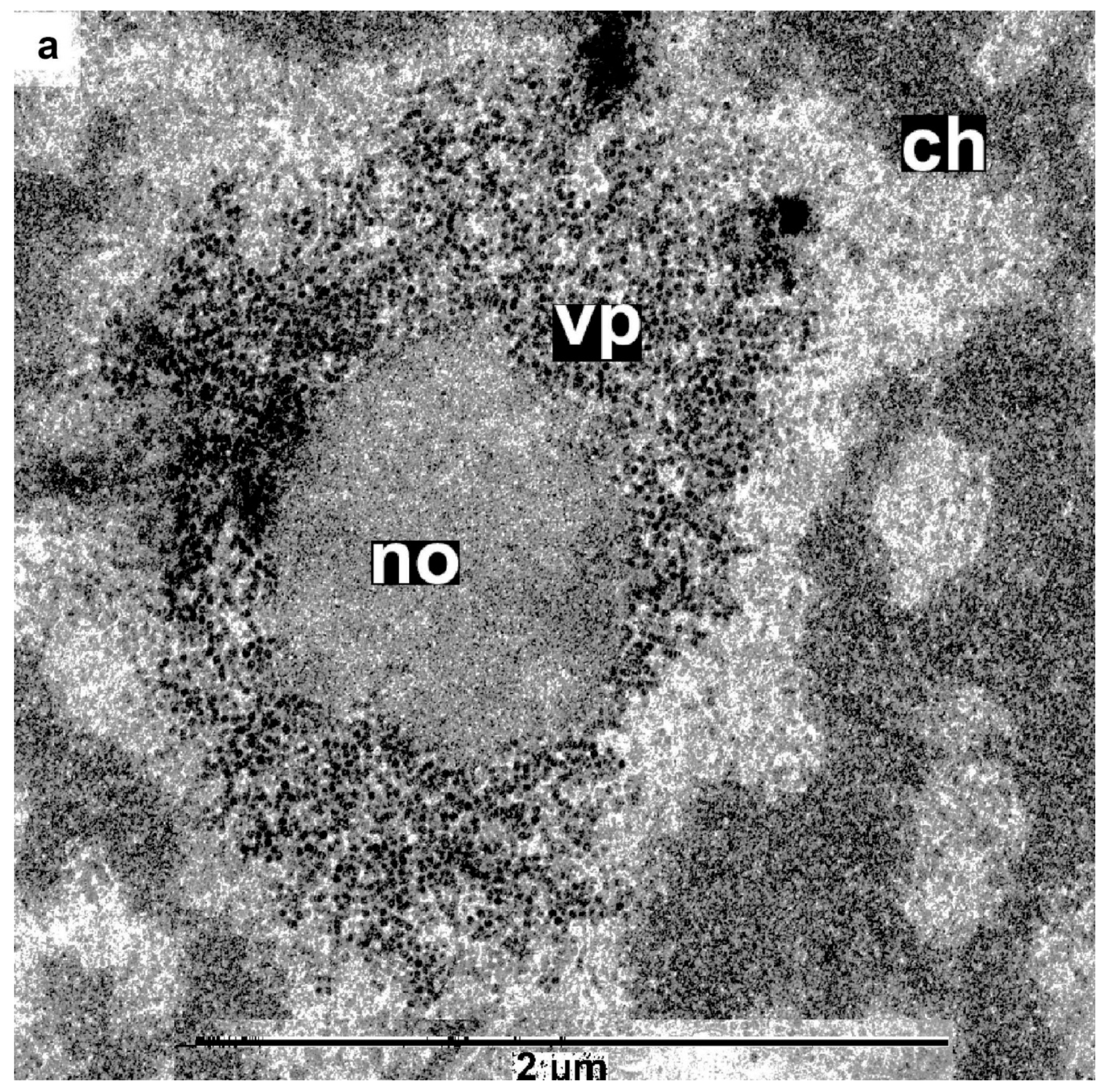 High throughput 09 00011 g007a
