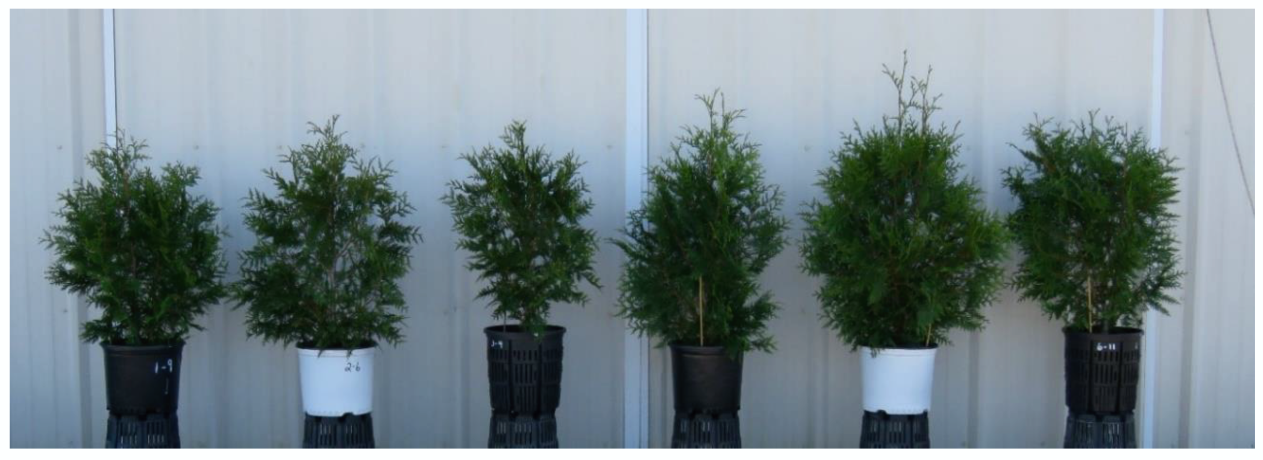 Horticulturae 06 00022 g001 Horticulturae 06 00022 g001