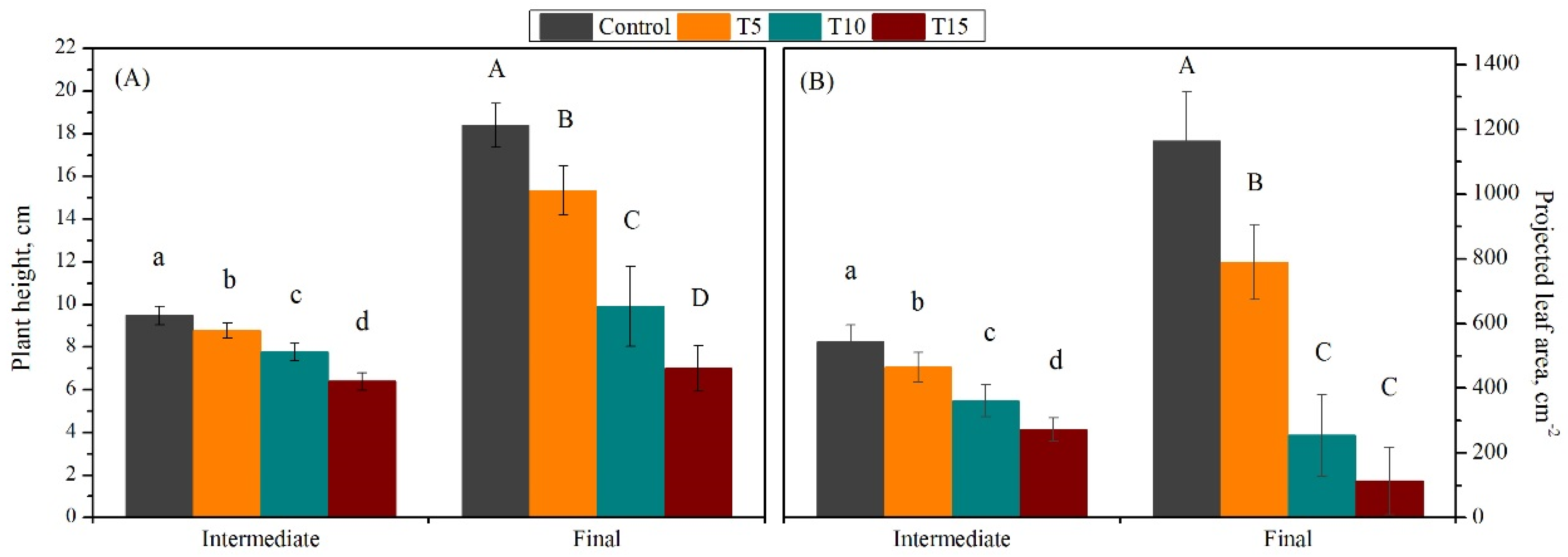 Horticulturae Free Full Text Basil as Secondary Crop in