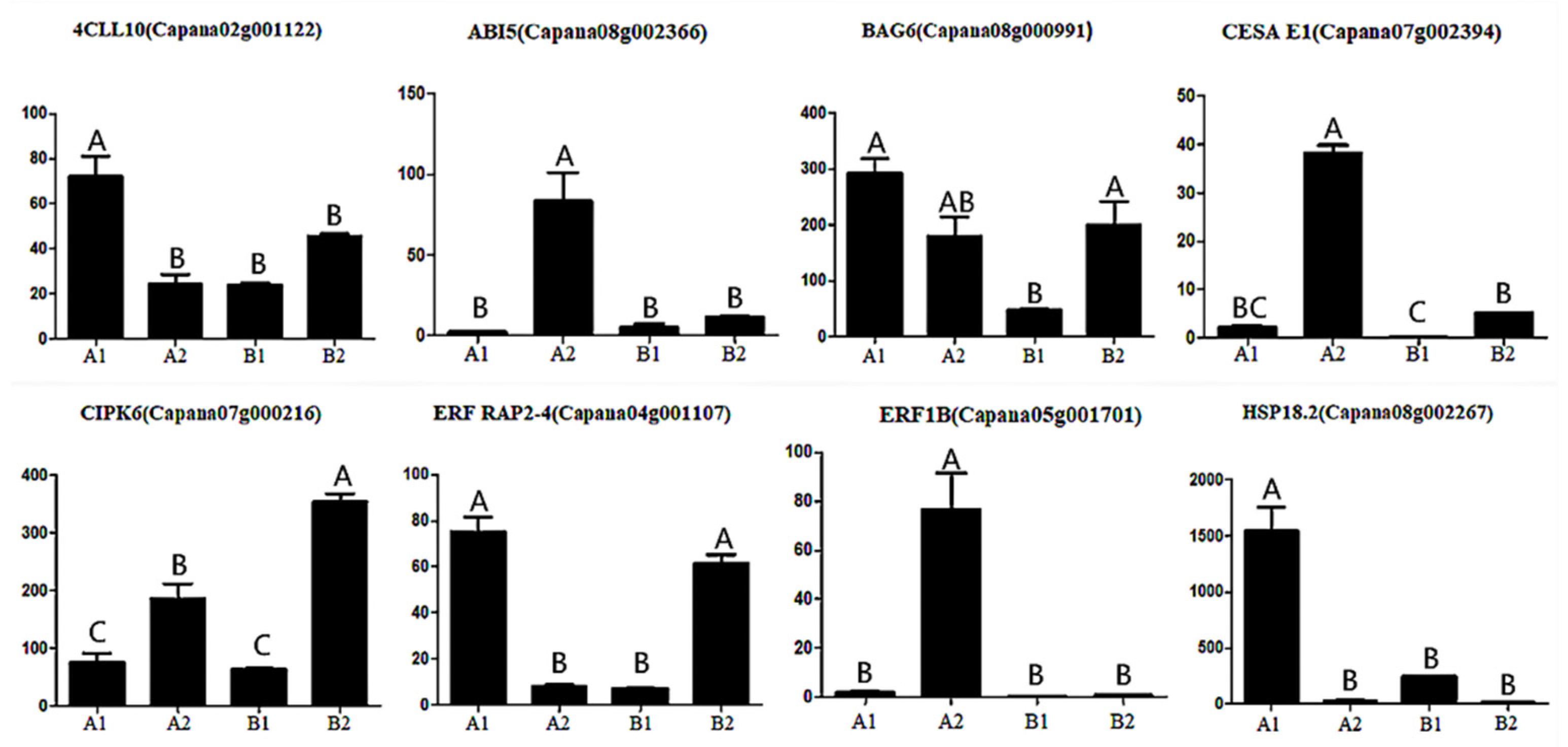 Horticulturae 07 00242 g011 Horticulturae 07 00242 g011