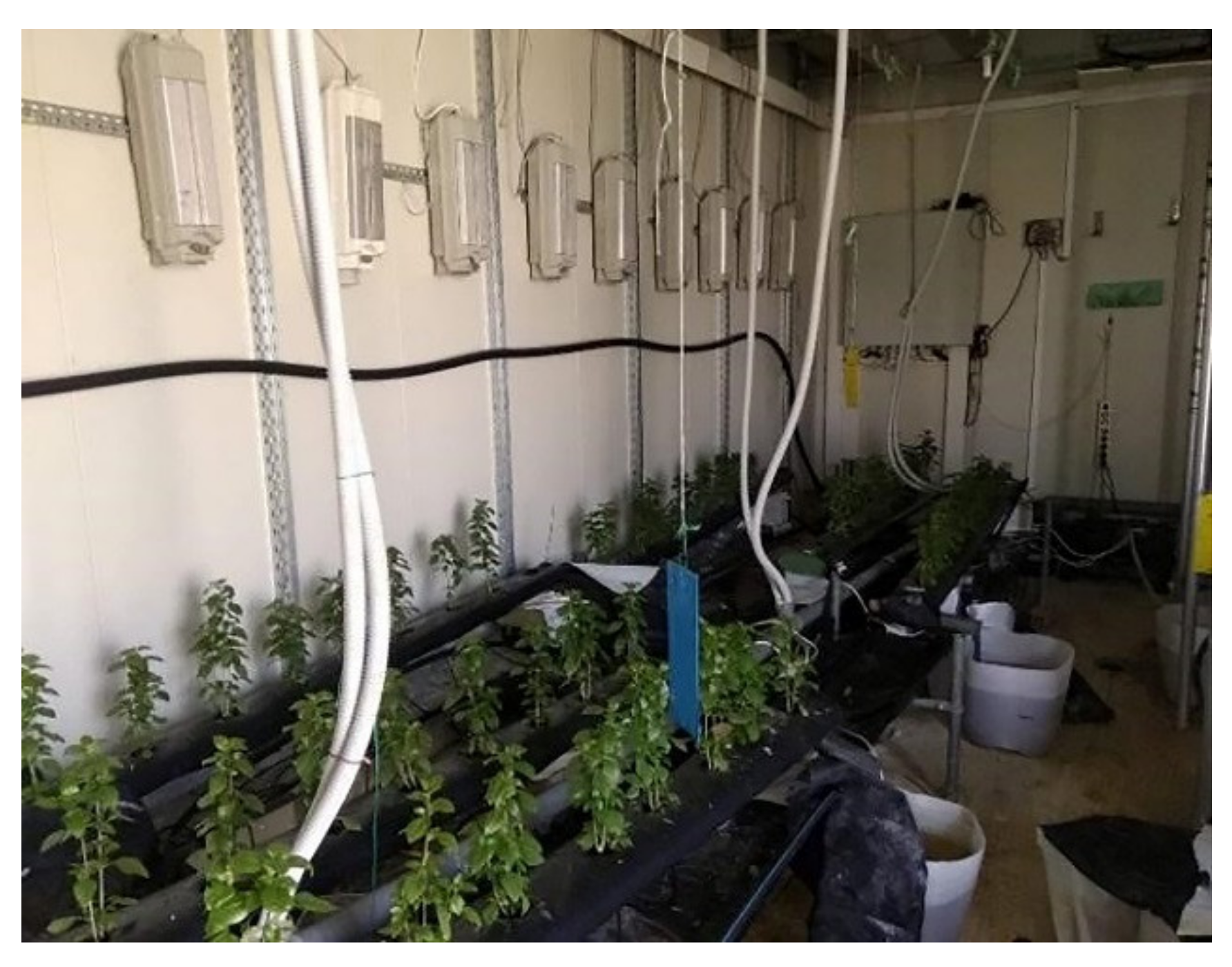 Horticulturae 07 00296 g001 Horticulturae 07 00296 g001