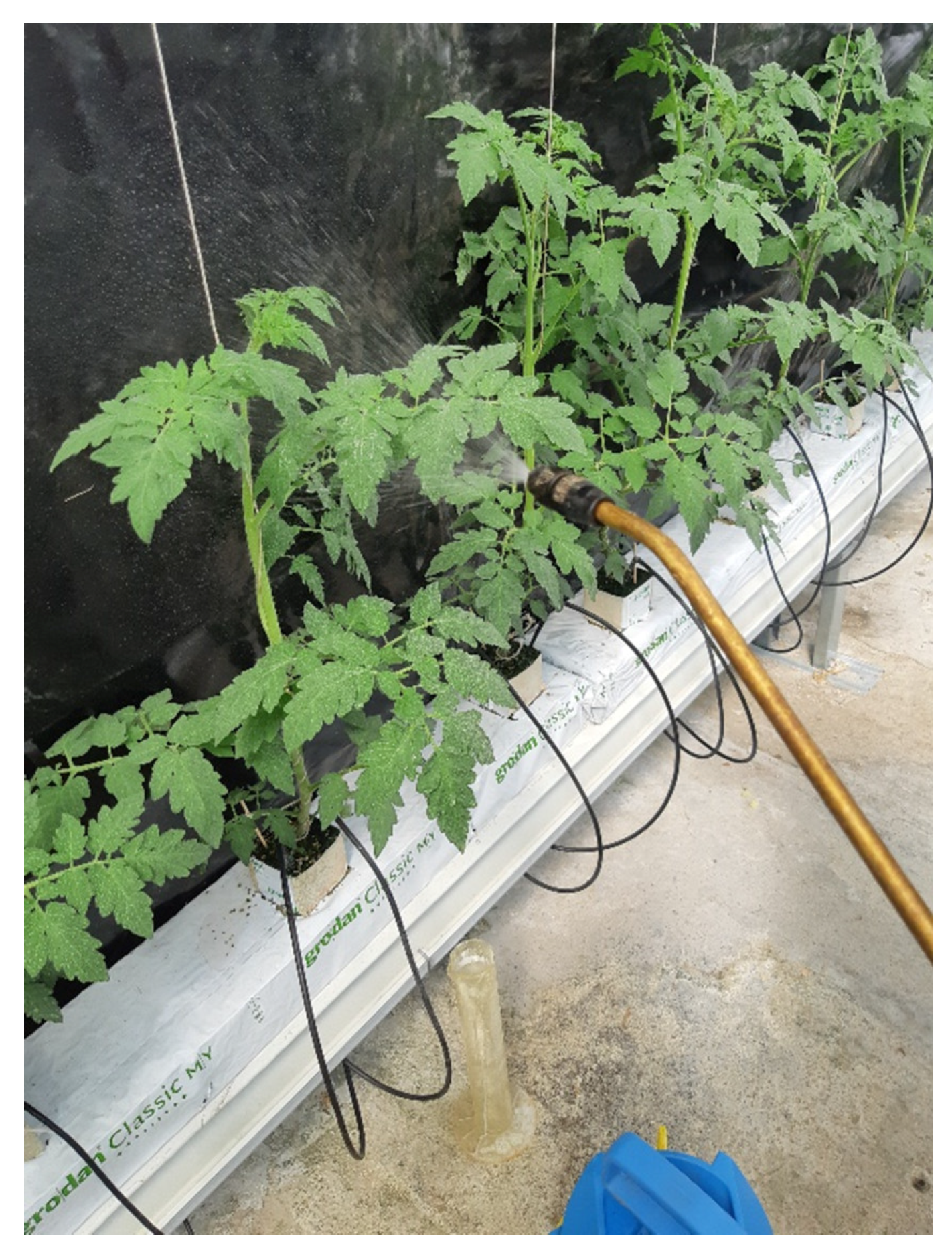 Horticulturae 07 00297 g002