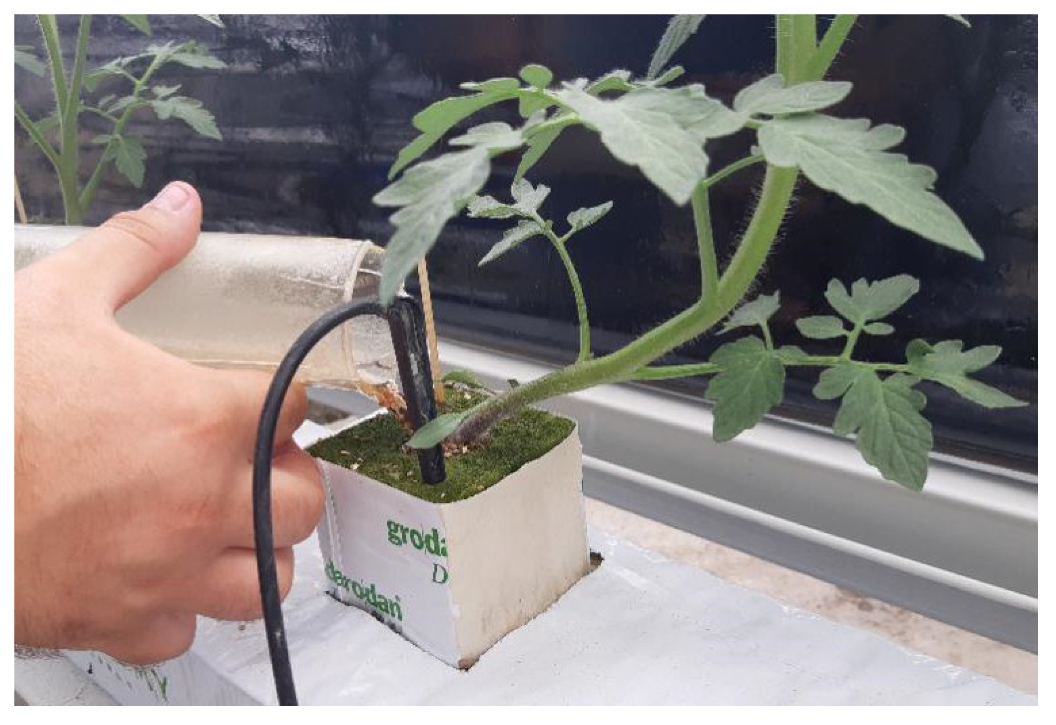 Horticulturae 07 00297 g0a2