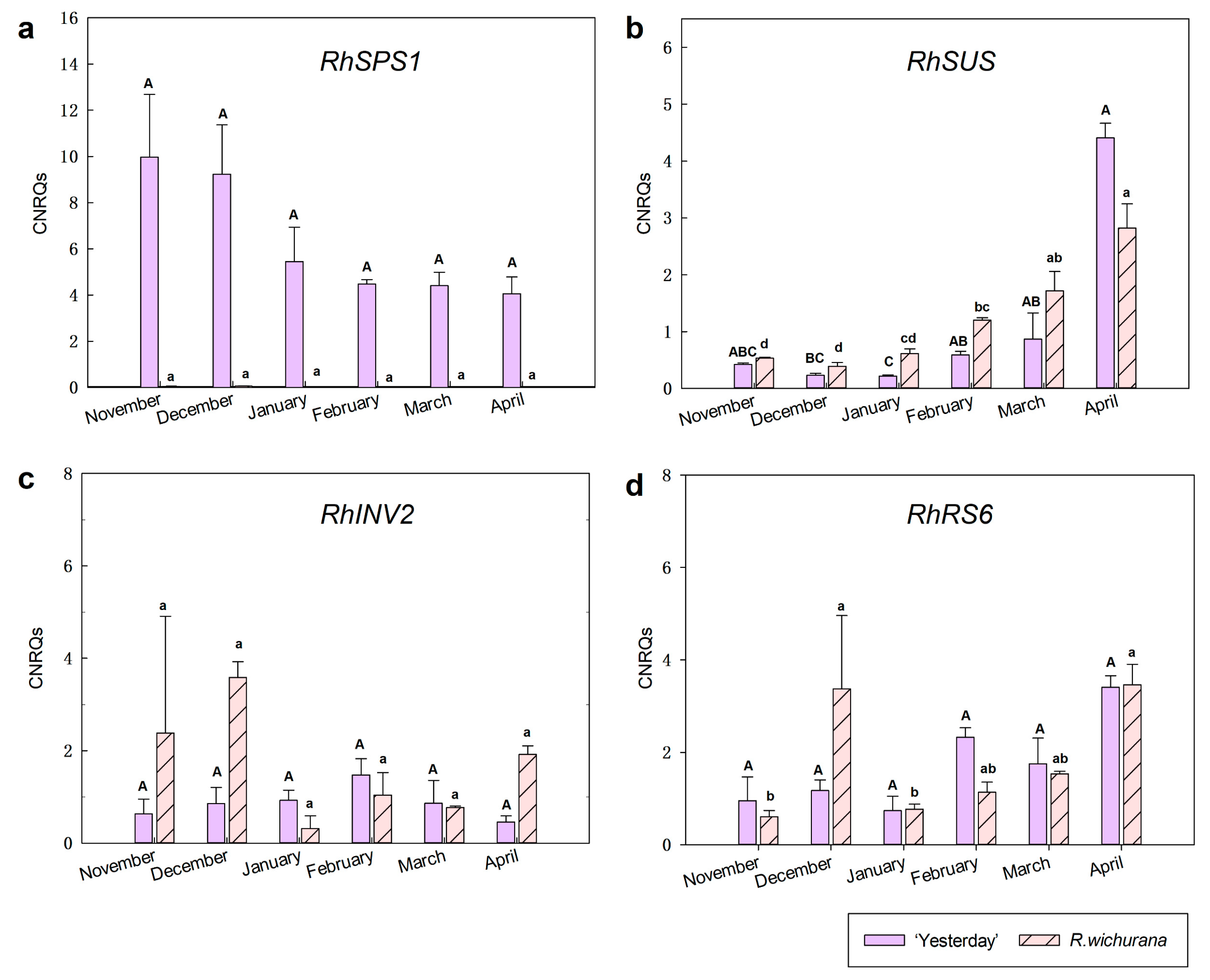 Horticulturae 07 00379 g004