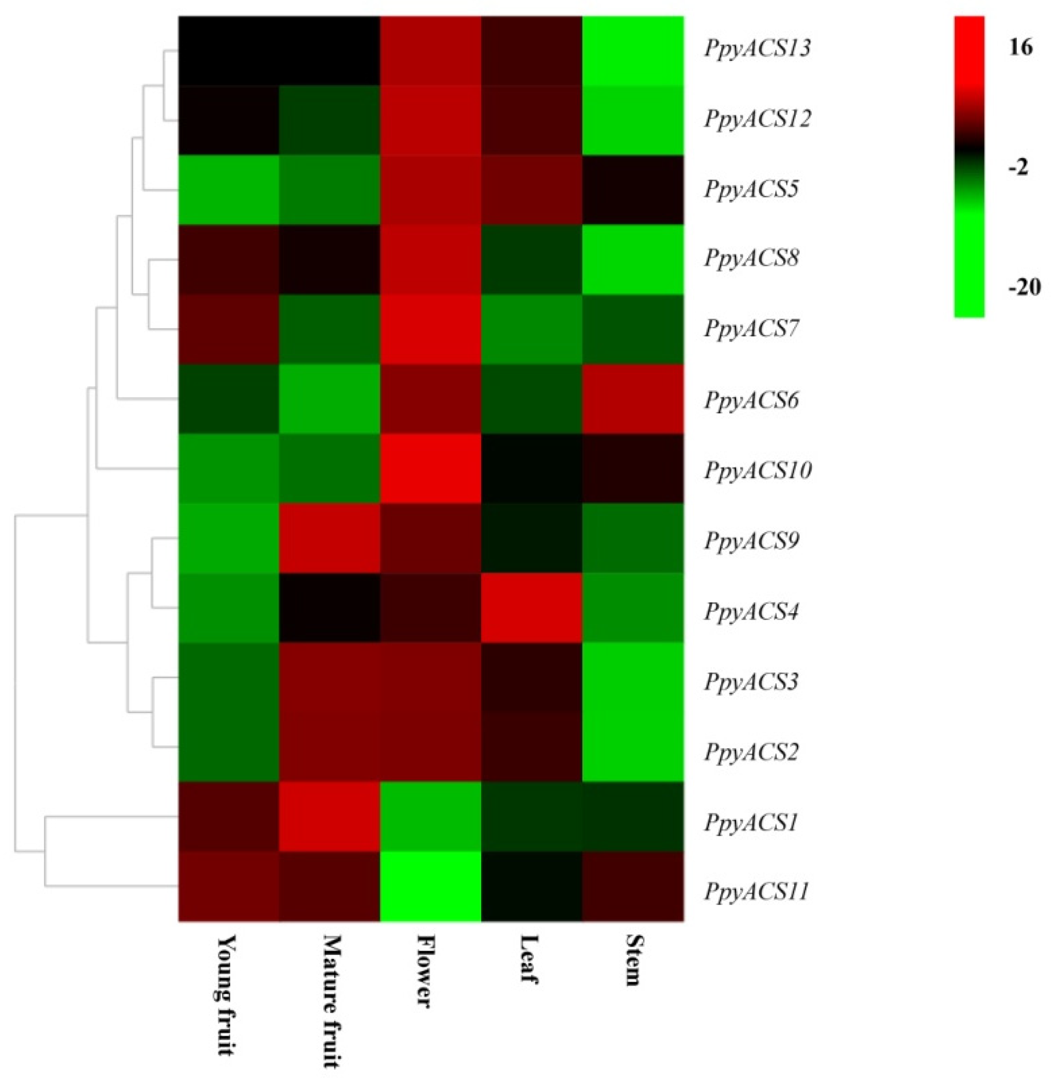 Horticulturae 07 00401 g005 Horticulturae 07 00401 g005