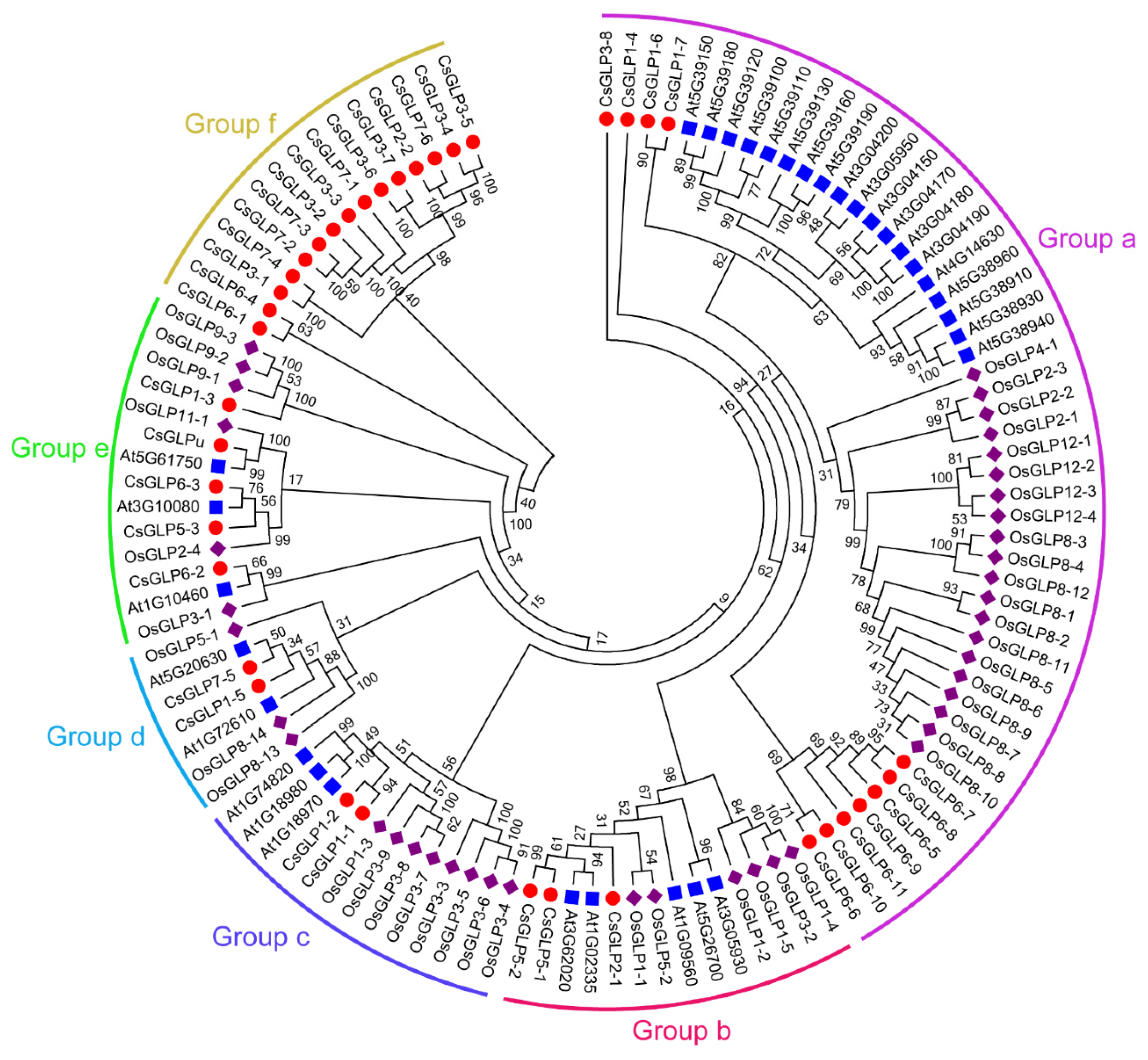 Horticulturae 07 00412 g001