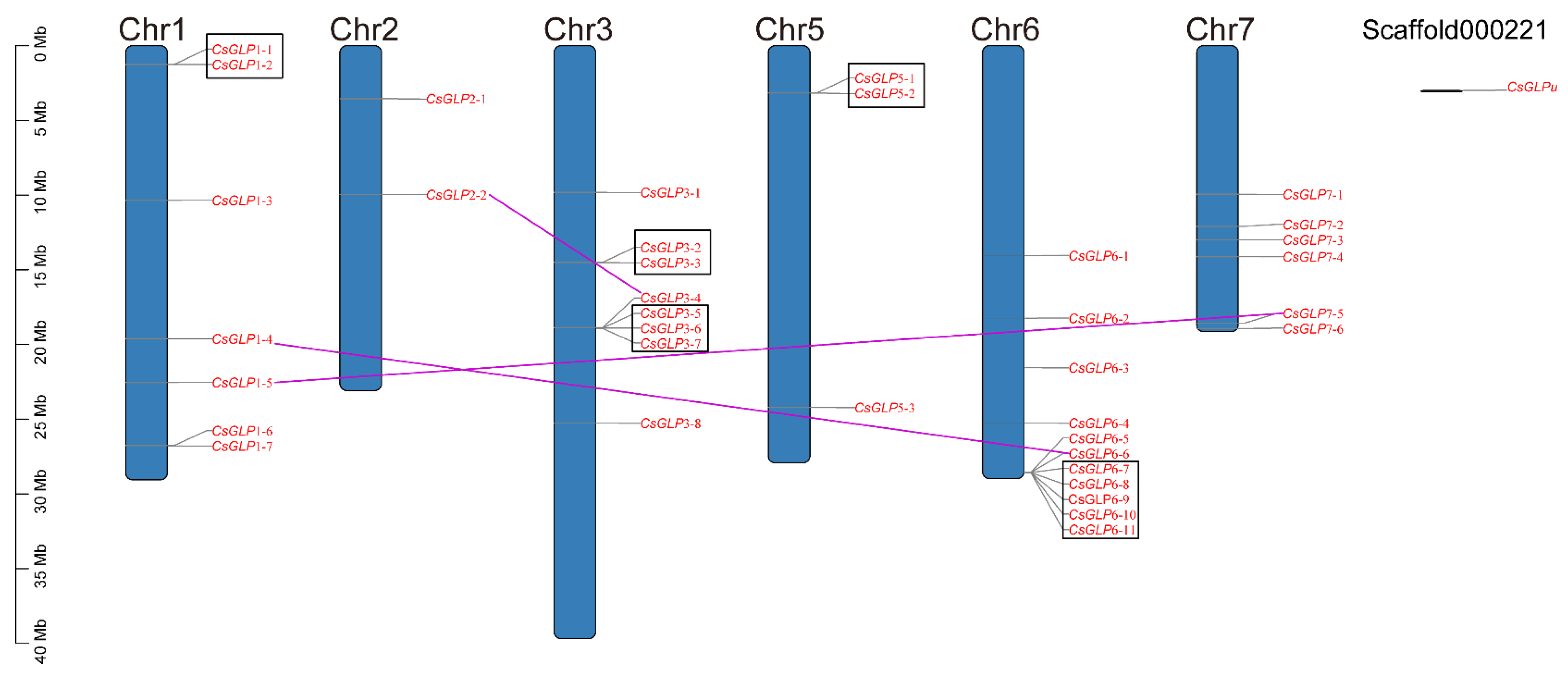 Horticulturae 07 00412 g004