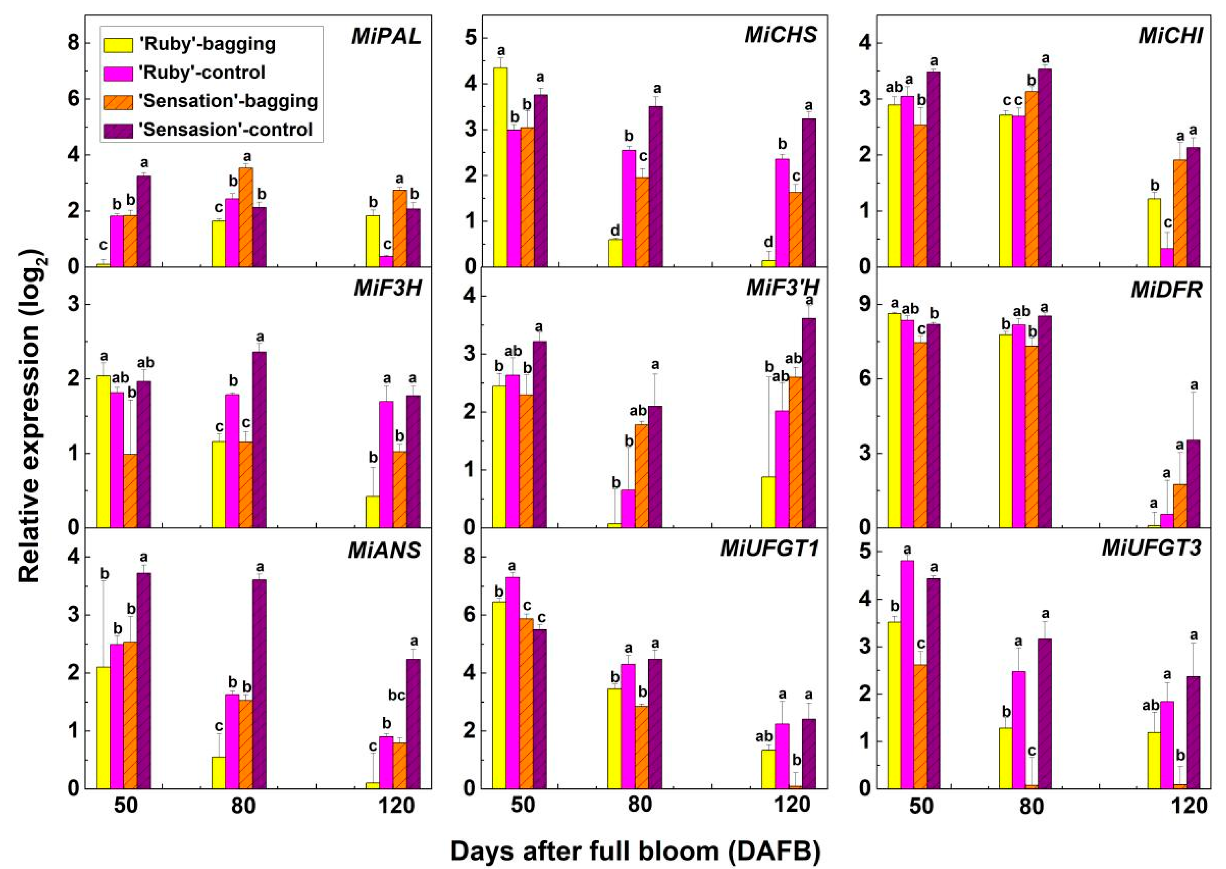 Horticulturae 07 00423 g003