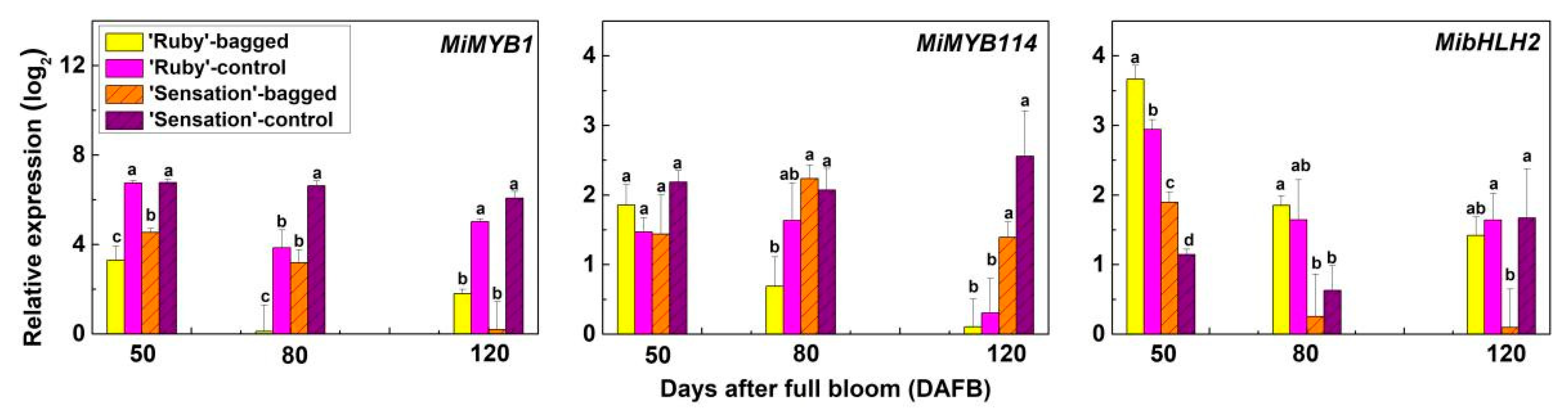 Horticulturae 07 00423 g004
