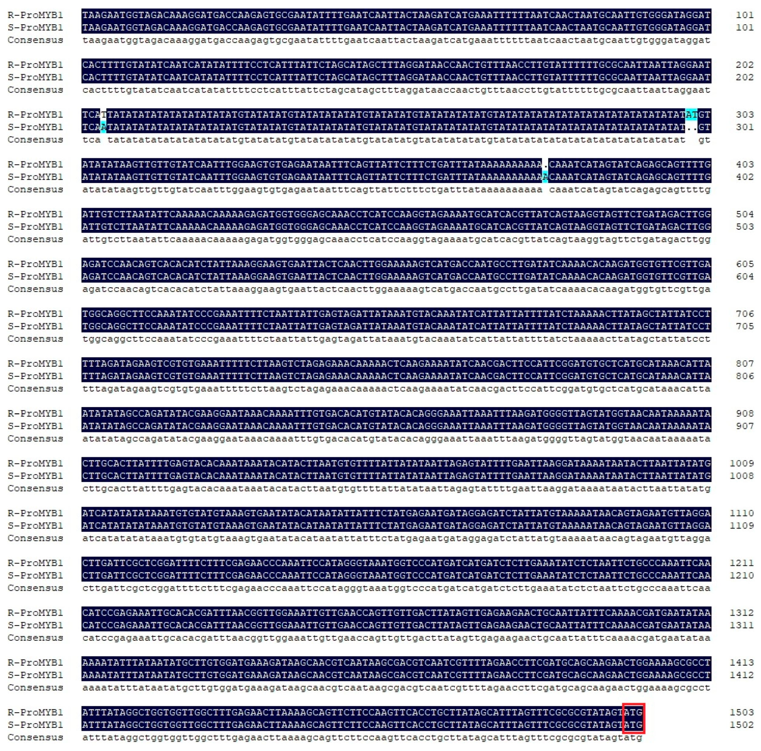 Horticulturae 07 00423 g005
