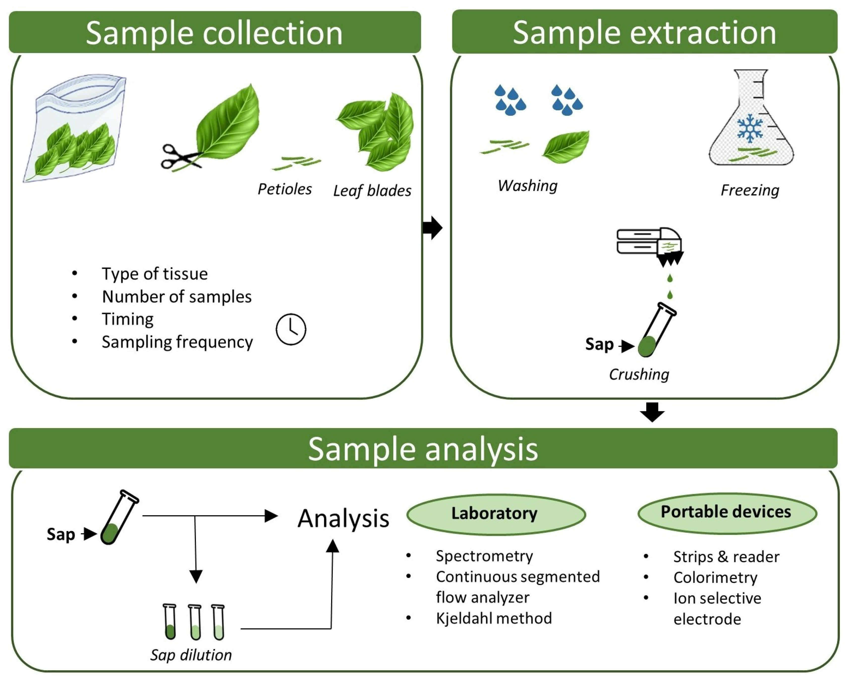 Horticulturae | Free Full-Text | Sap Analysis: A Powerful Tool for  Monitoring Plant Nutrition
