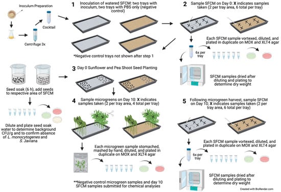 https://www.mdpi.com/horticulturae/horticulturae-07-00446/article_deploy/html/images/horticulturae-07-00446-g001-550.jpg