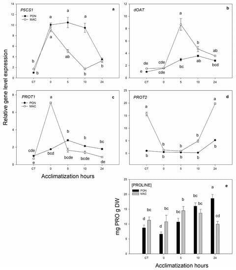 Horticulturae Free Full Text Gene Expression Under Short Term Low Temperatures Preliminary Screening Method To Obtain Tolerant Citrus Rootstocks Html