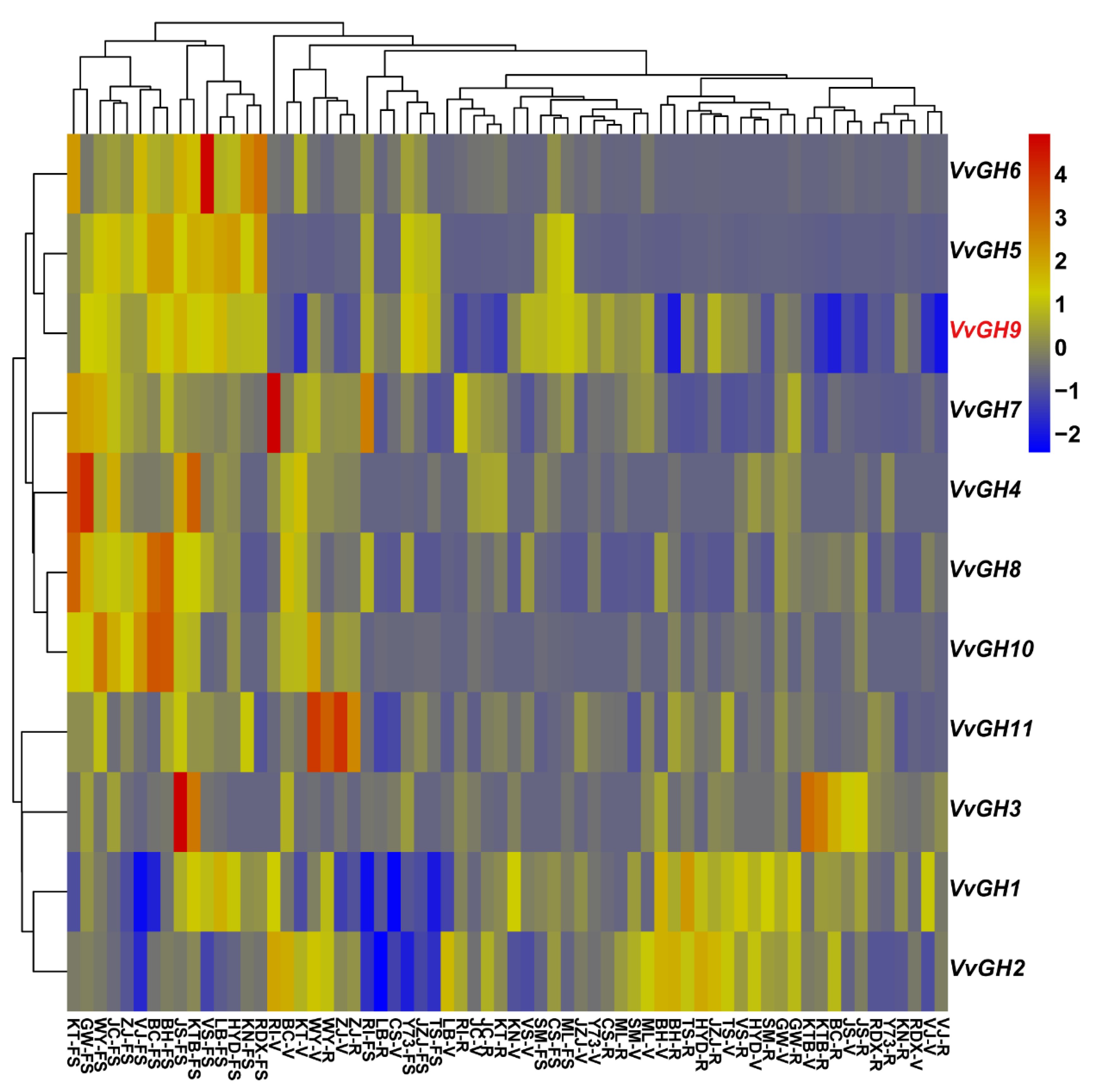 Horticulturae 07 00453 g003