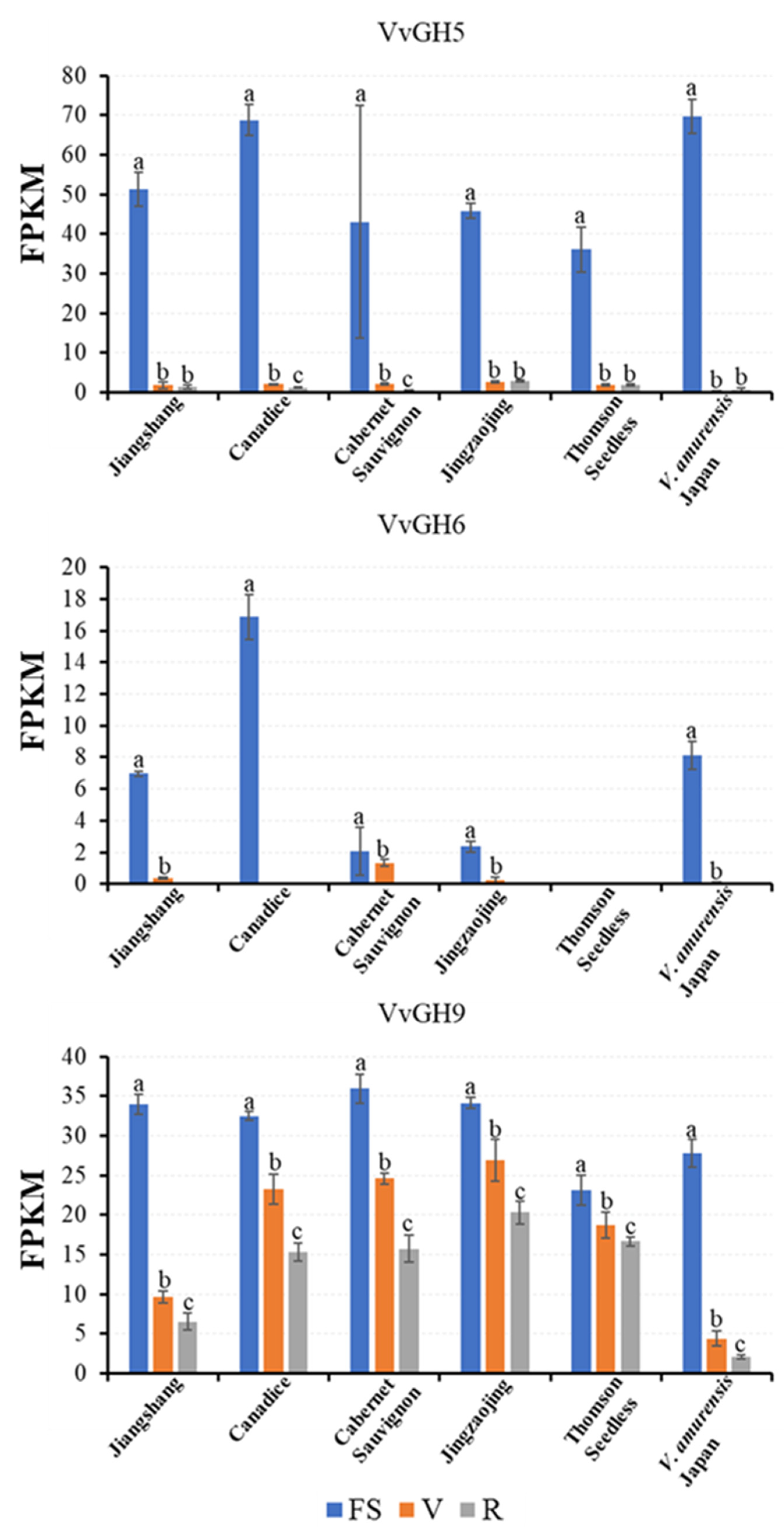 Horticulturae 07 00453 g004