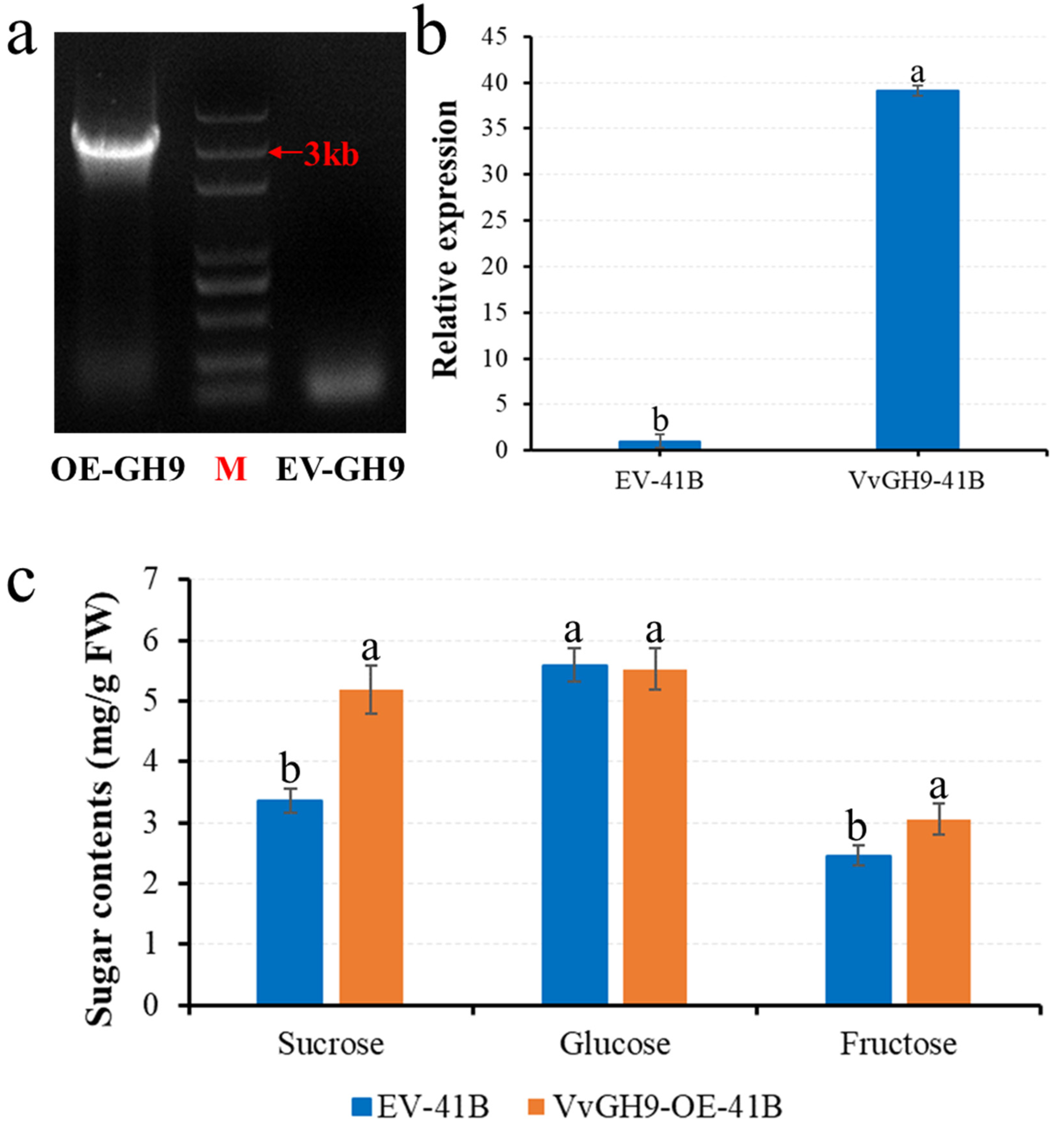 Horticulturae 07 00453 g008