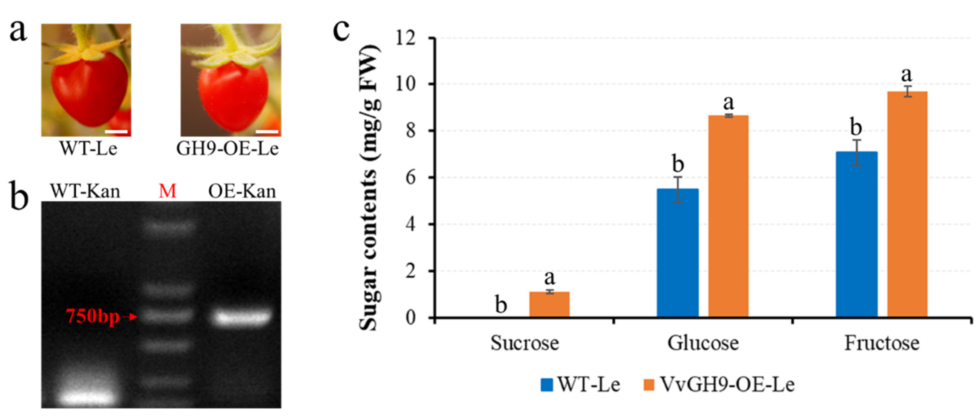Horticulturae 07 00453 g009