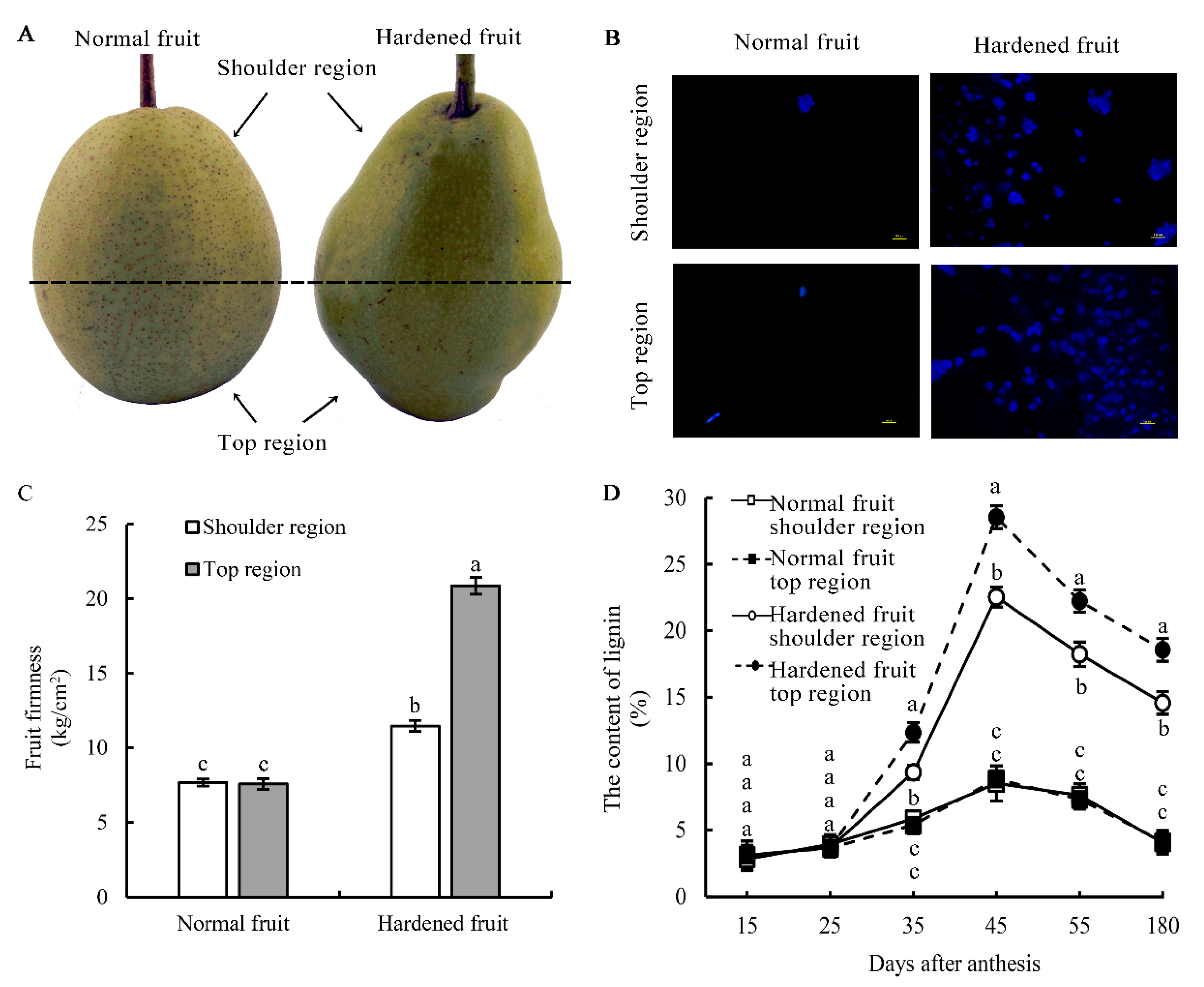 https://www.mdpi.com/horticulturae/horticulturae-07-00467/article_deploy/html/images/horticulturae-07-00467-g001.png