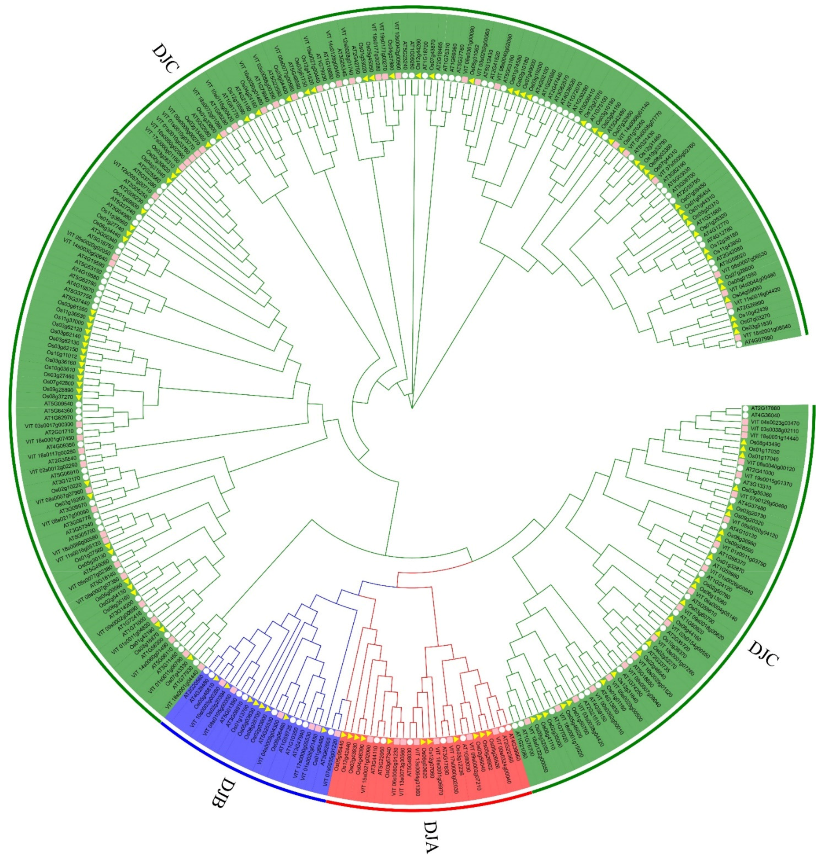 Horticulturae 07 00589 g003