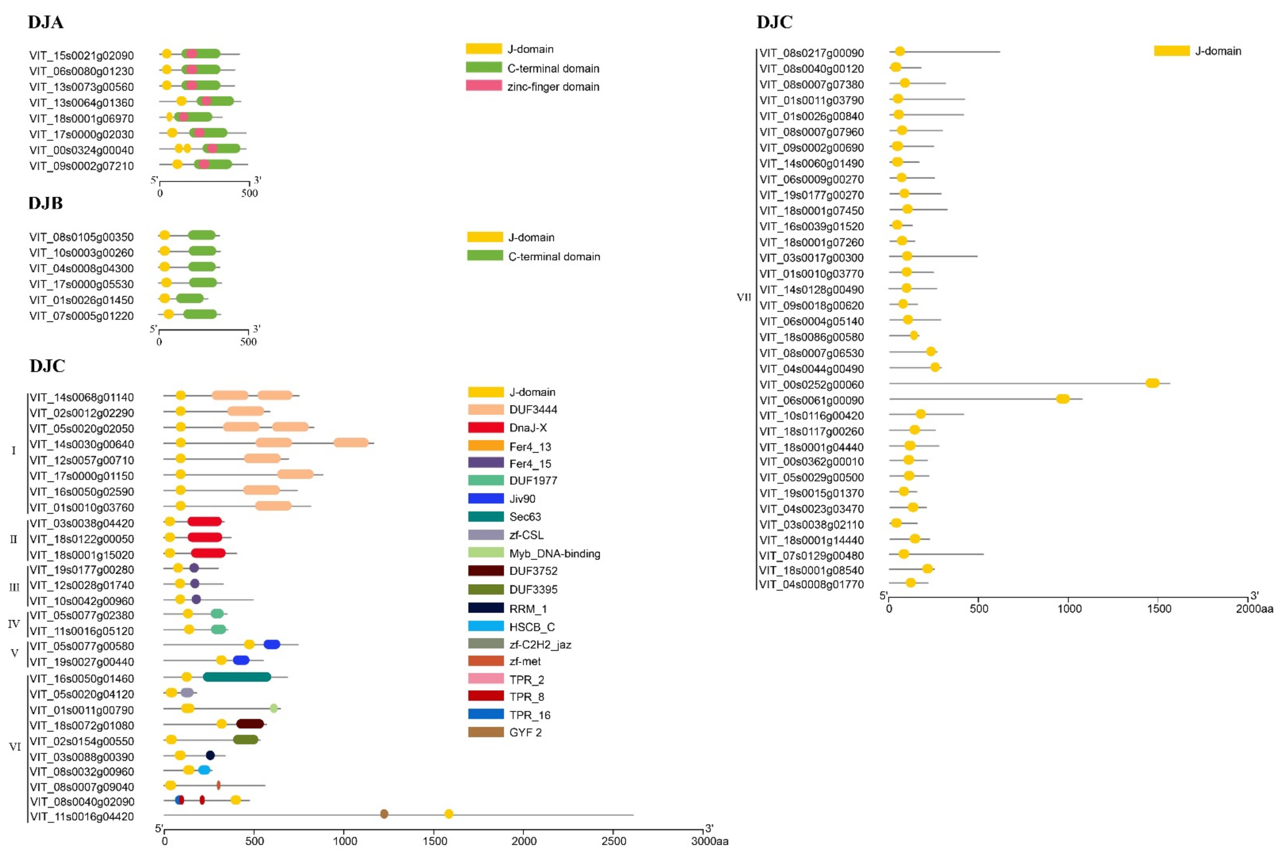Horticulturae 07 00589 g004