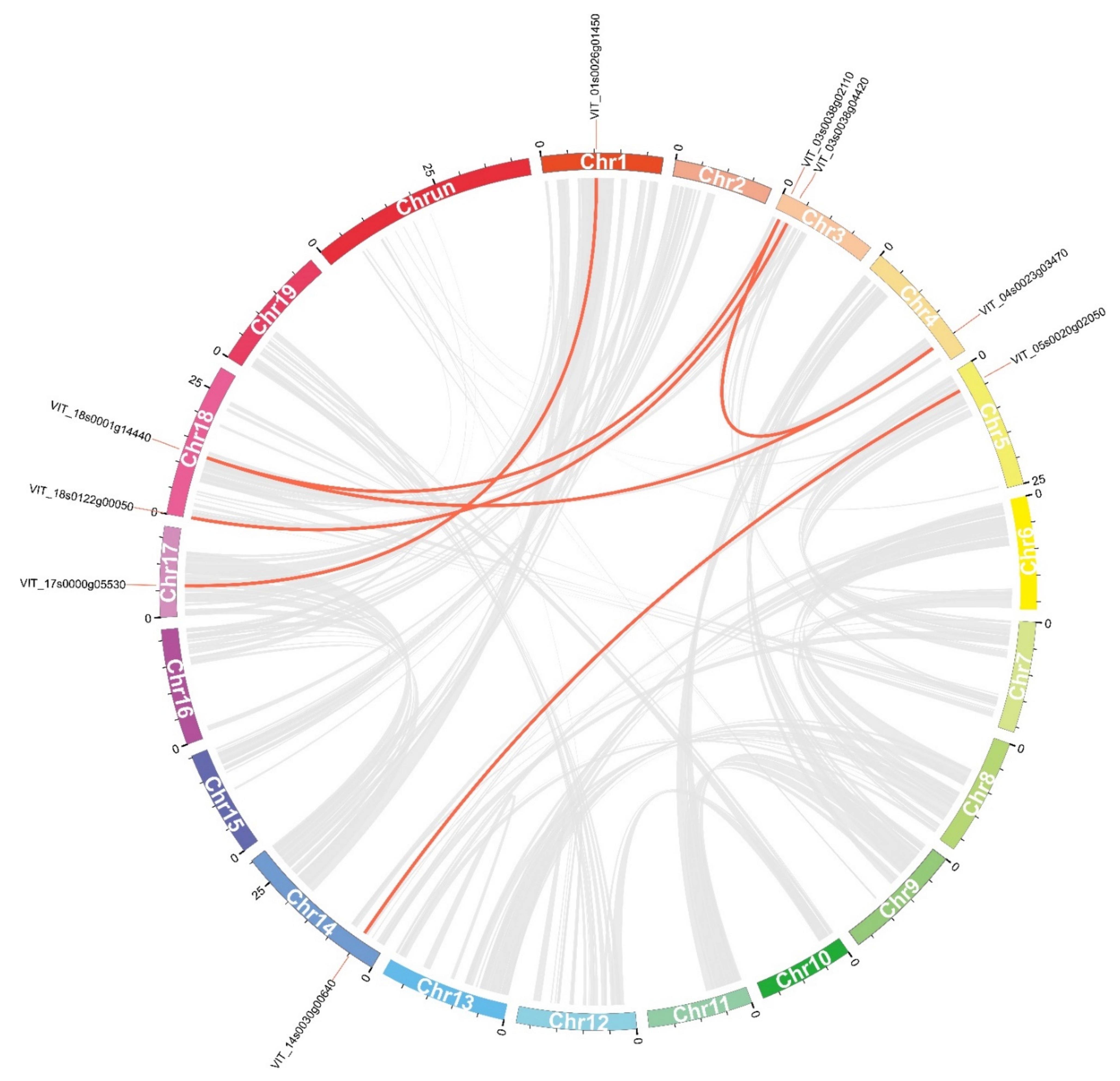 Horticulturae 07 00589 g006