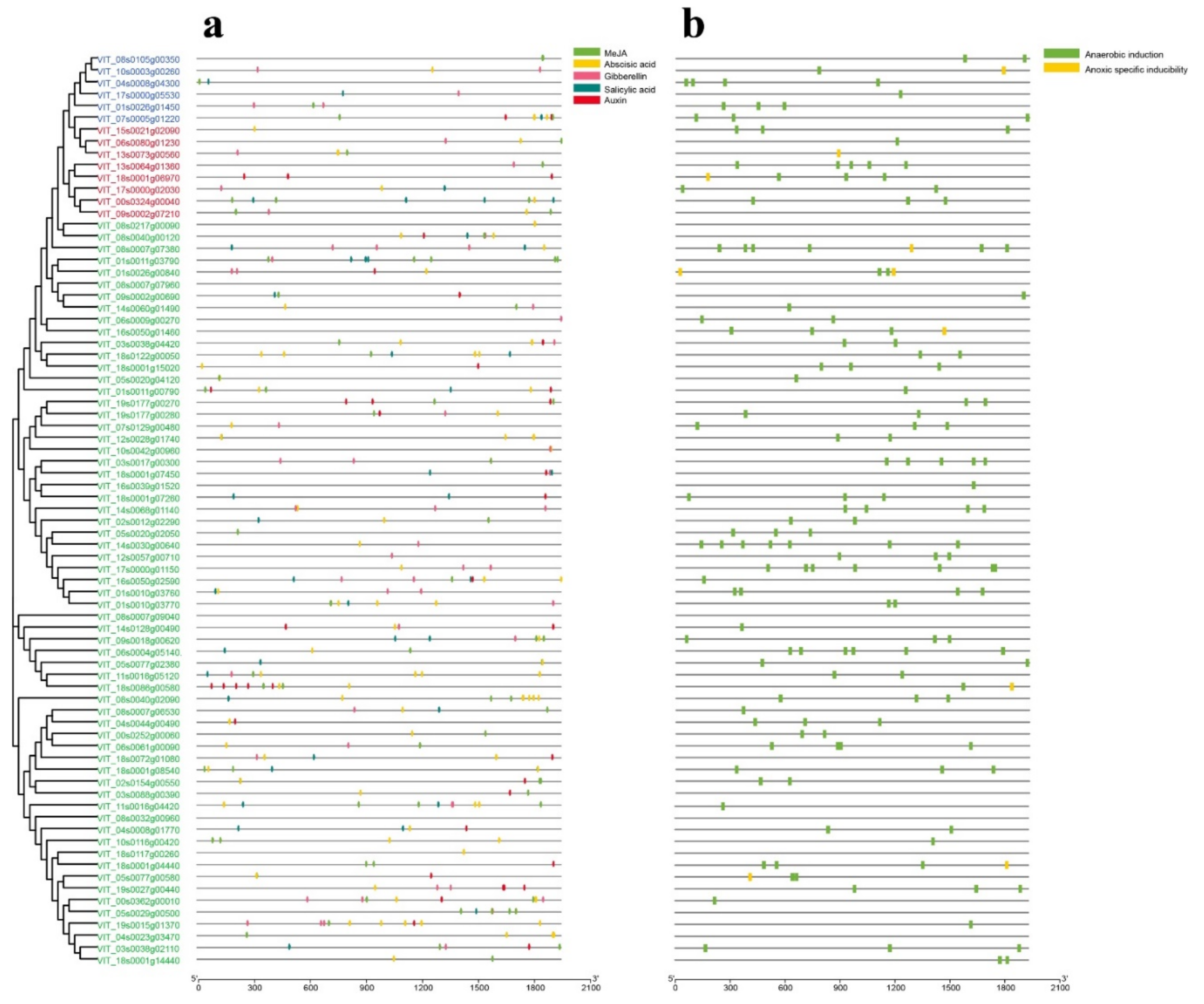 Horticulturae 07 00589 g009