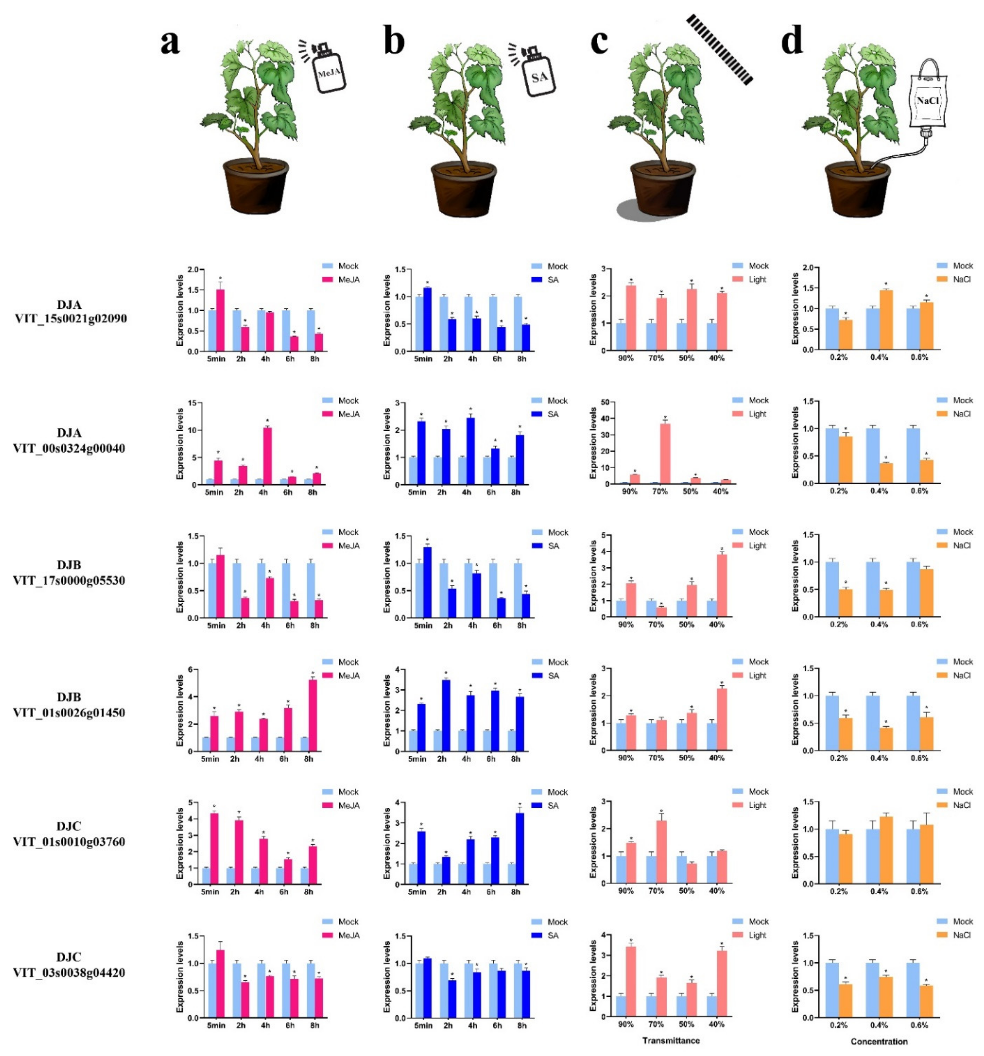 Horticulturae 07 00589 g010