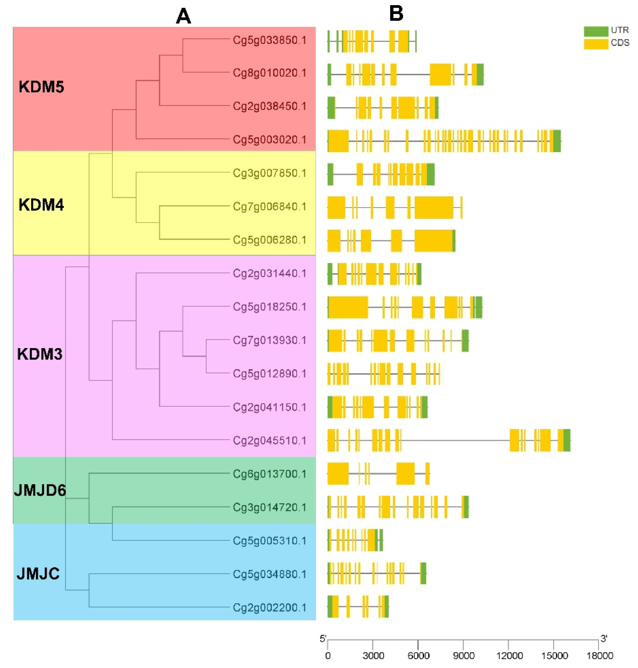 Horticulturae 07 00592 g003