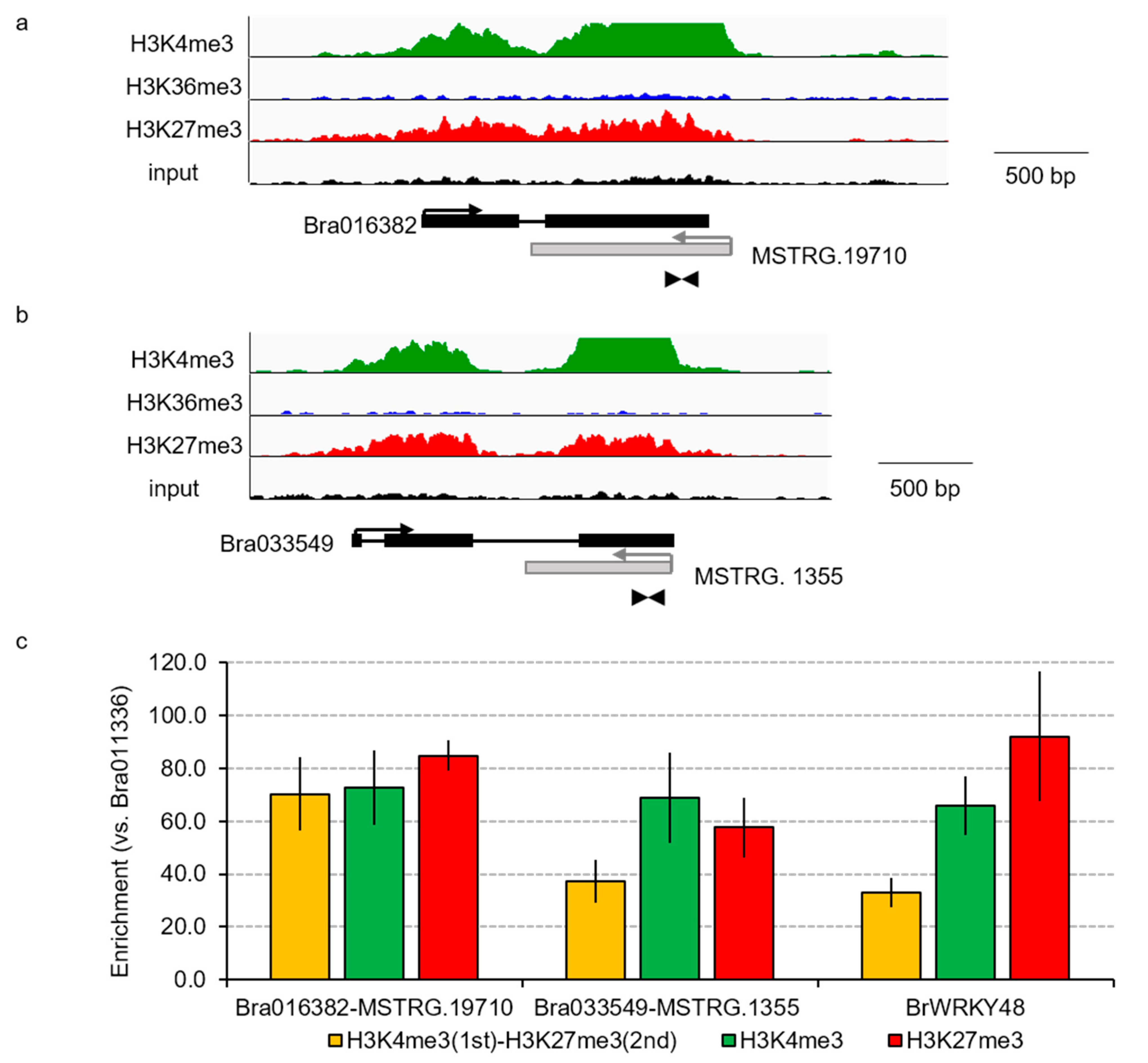 Horticulturae 08 00017 g004