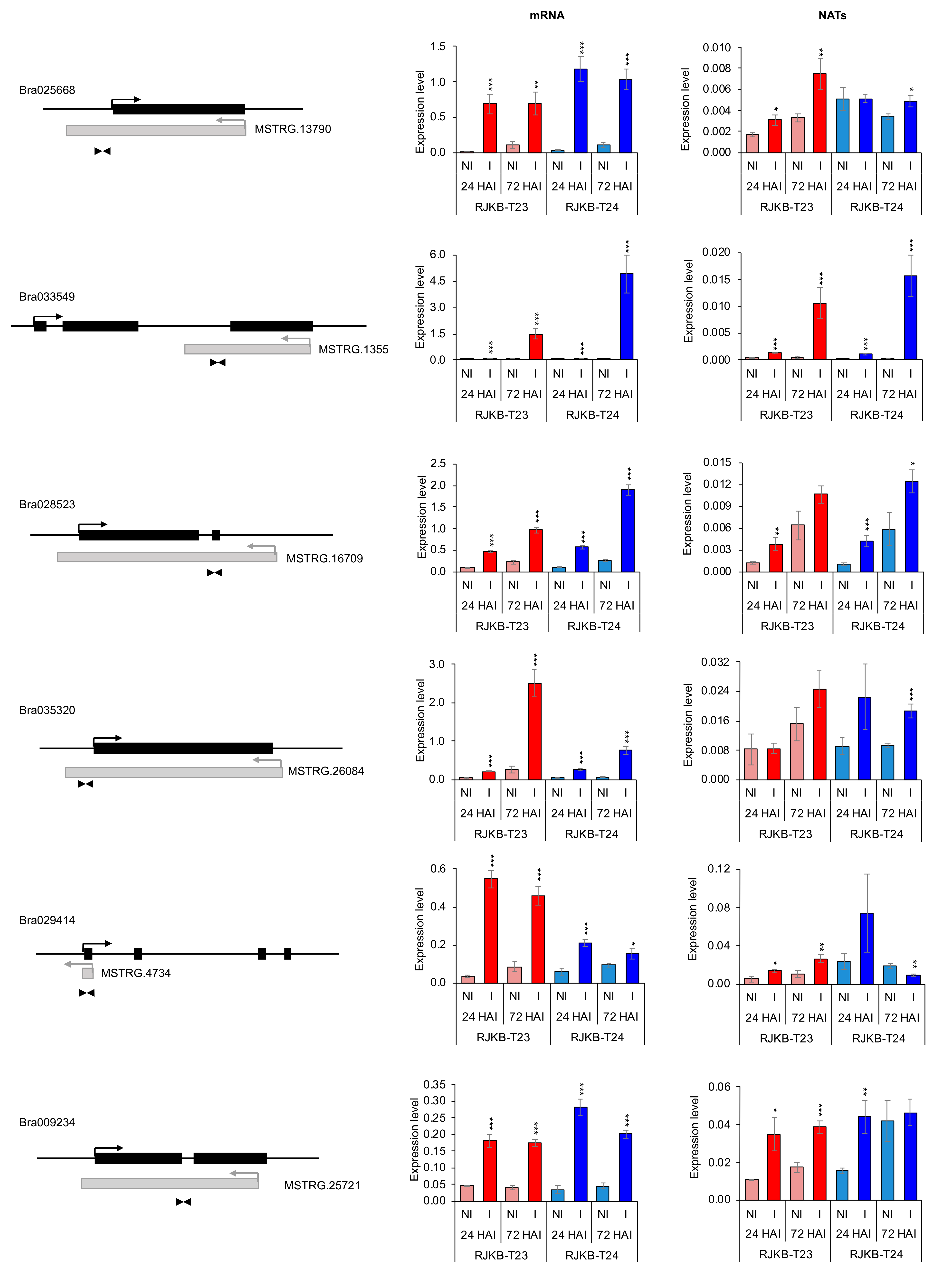 Horticulturae 08 00017 g005