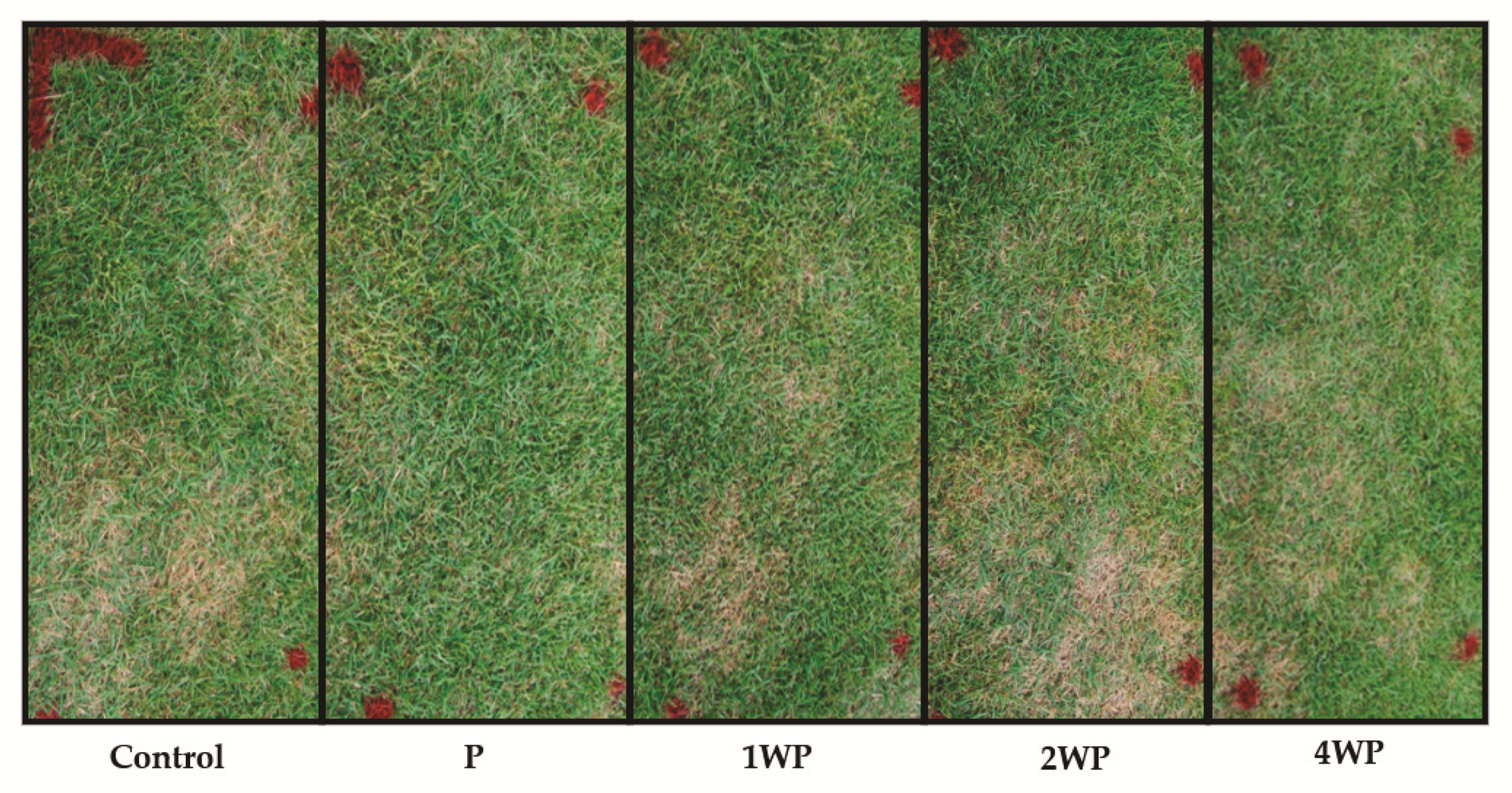Horticulturae 08 00034 g005