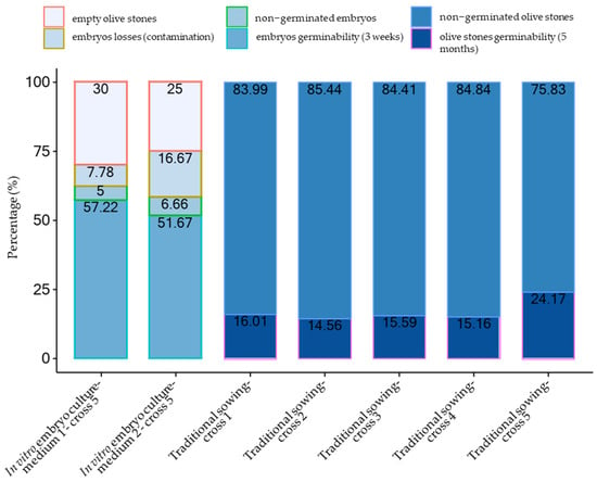 Horticulturae | Free Full-Text | Embryo Culture, In Vitro Propagation ...