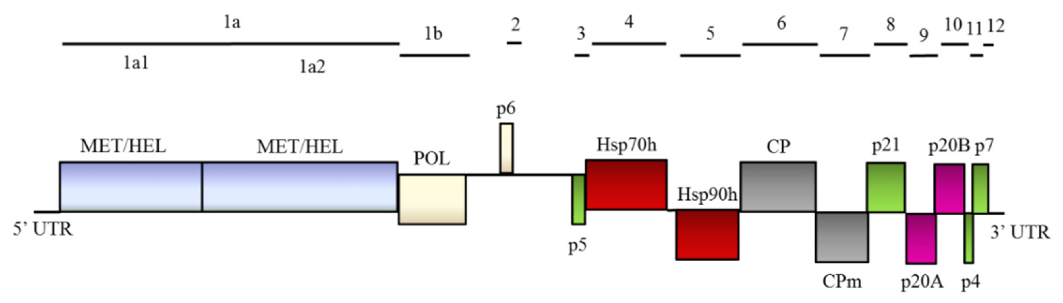 Horticulturae 08 00073 g003 Horticulturae 08 00073 g003