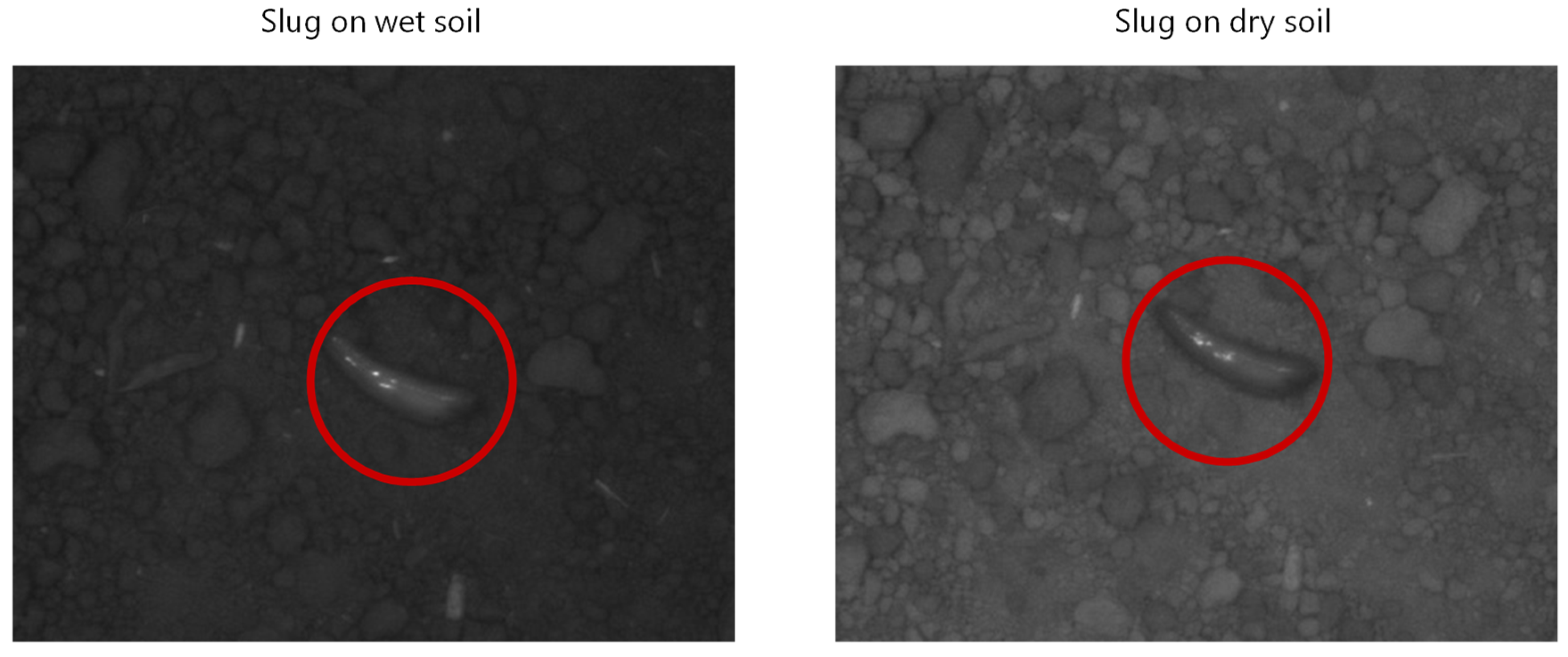 Horticulturae 08 00077 g007