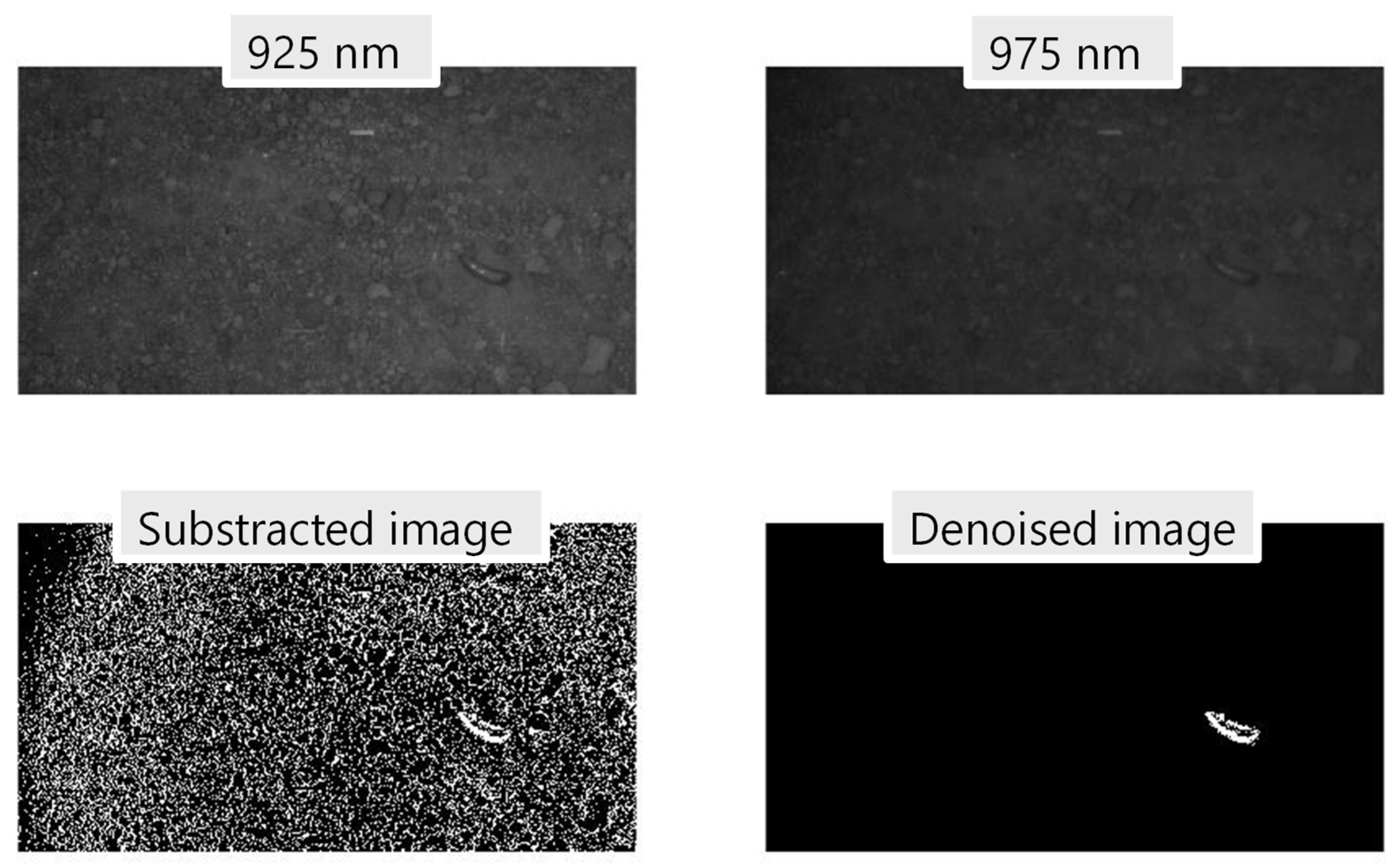 Horticulturae 08 00077 g009