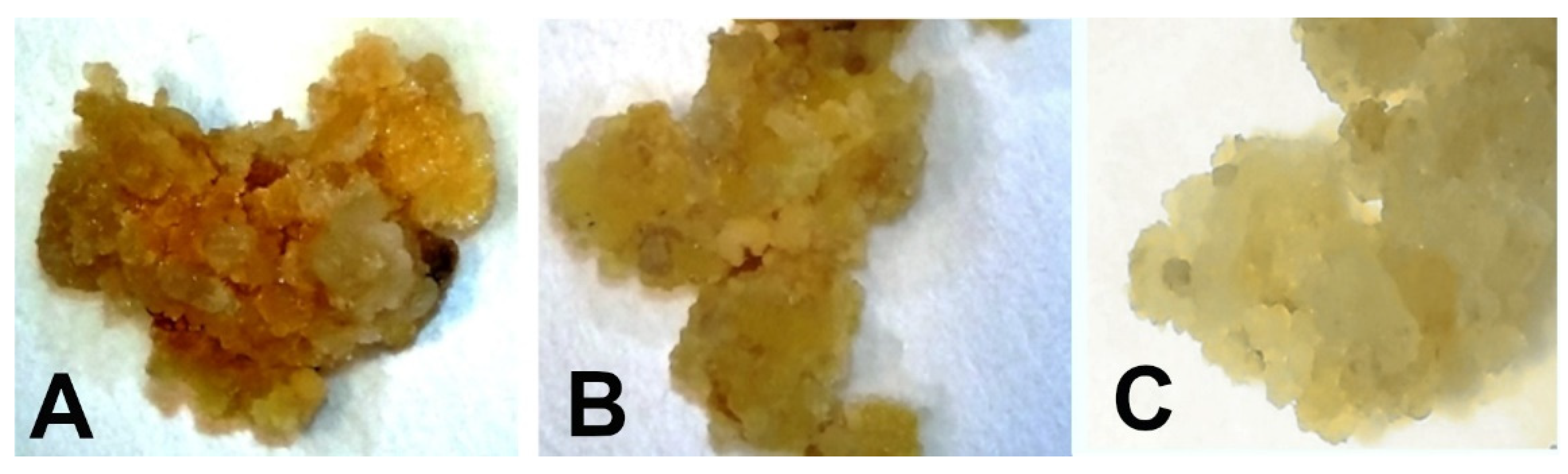 Horticulturae 08 00100 g003