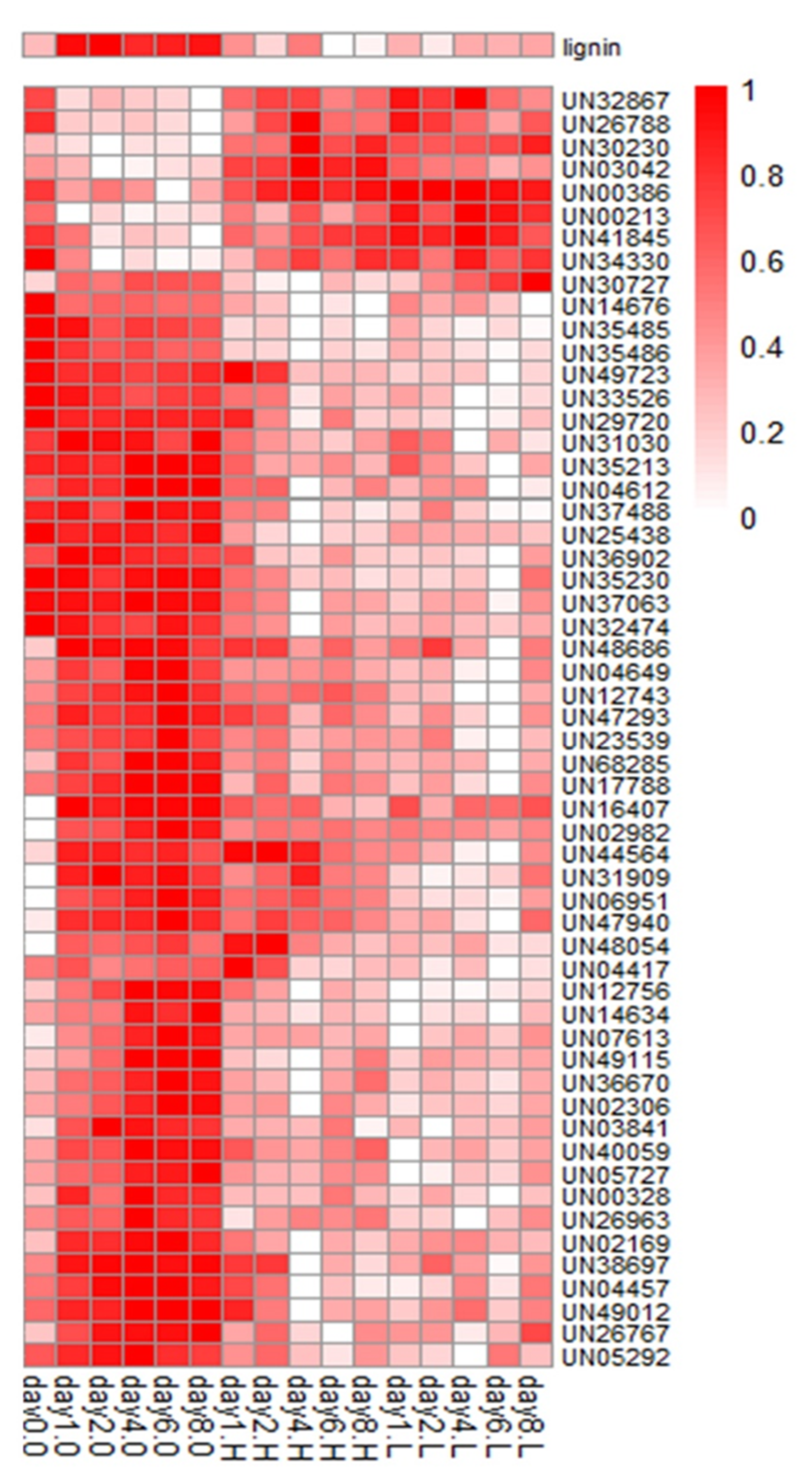 Horticulturae 08 00124 g004