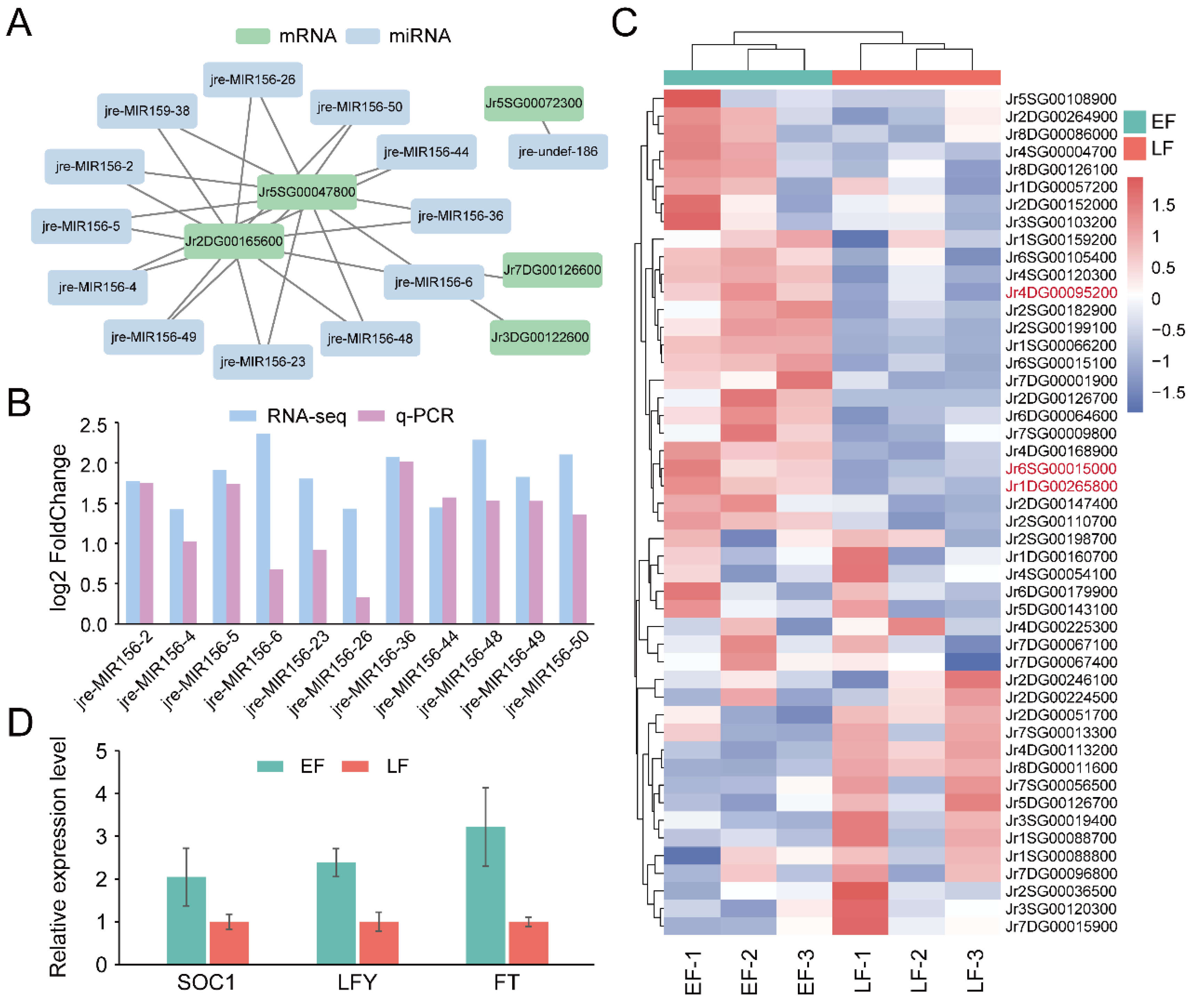 Horticulturae 08 00136 g006